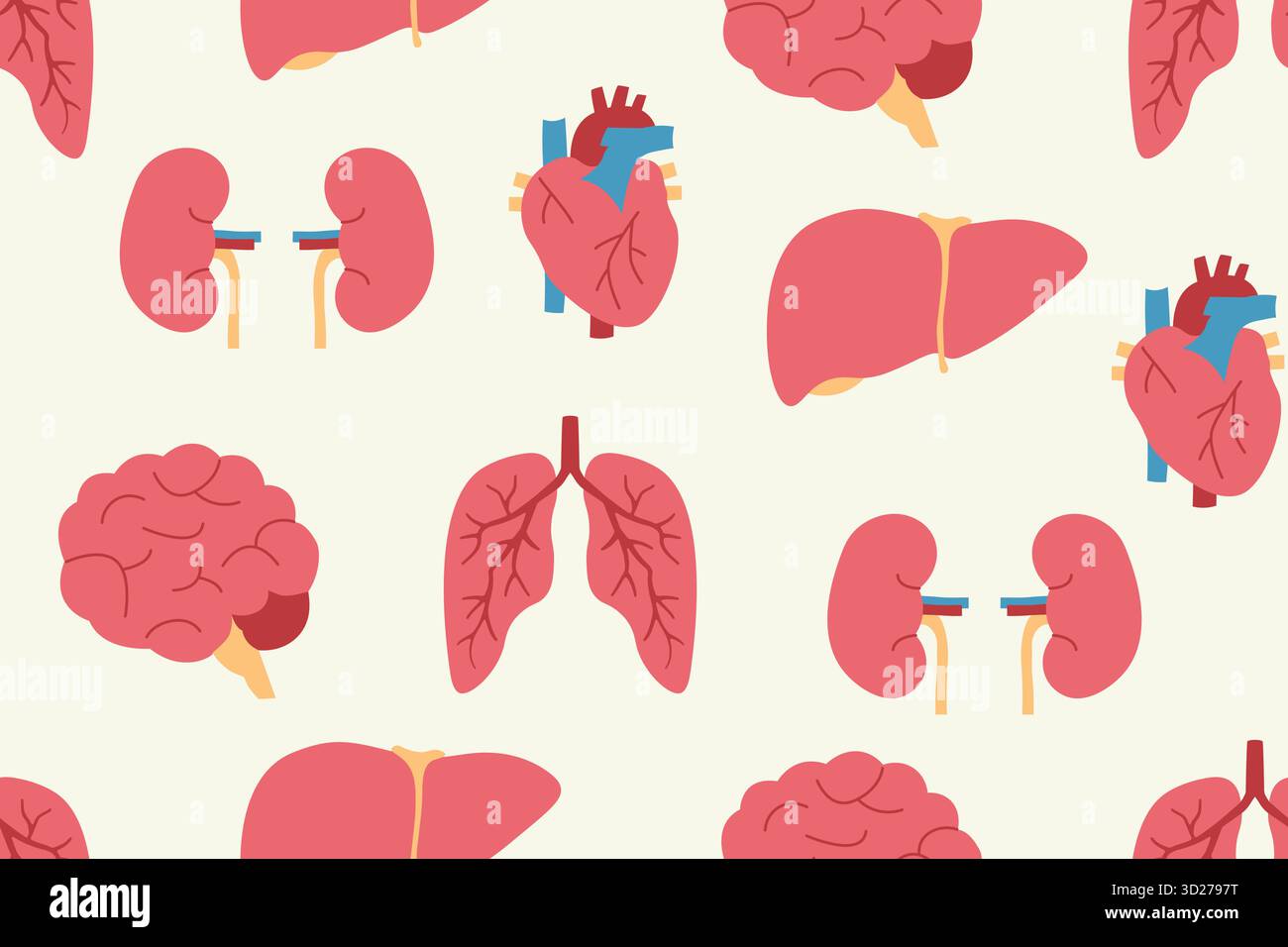 Modello senza cuciture di organi interni umani: Con cuore, cervello, polmoni, reni e fegato; perfetto per materiali educativi, background sanitario Illustrazione Vettoriale