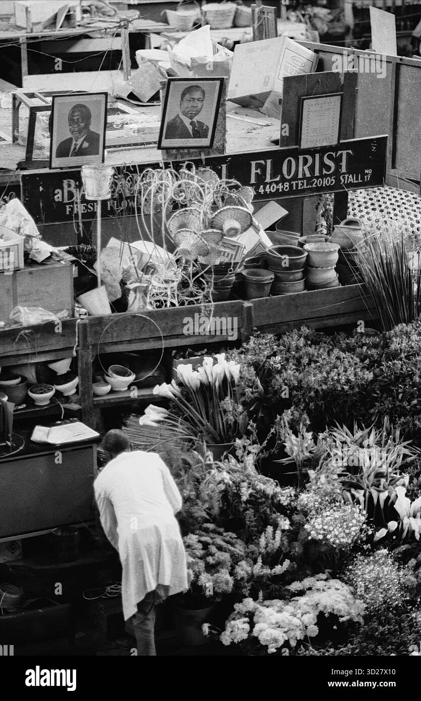 Mercato cittadino di Nairobi: Una vibrante istantanea della vita quotidiana si svolge al mercato cittadino, un vivace centro di commercio e cultura. Questa immagine cattura un momento di quiete nel caos organizzato, mostrando una bancarella di fiori traboccante di fiori freschi e un venditore locale che osserva la scena. Le ricche texture e la gamma tonale della fotografia in bianco e nero mettono in risalto l'energia pura di questa iconica località di Nairobi. Foto Stock