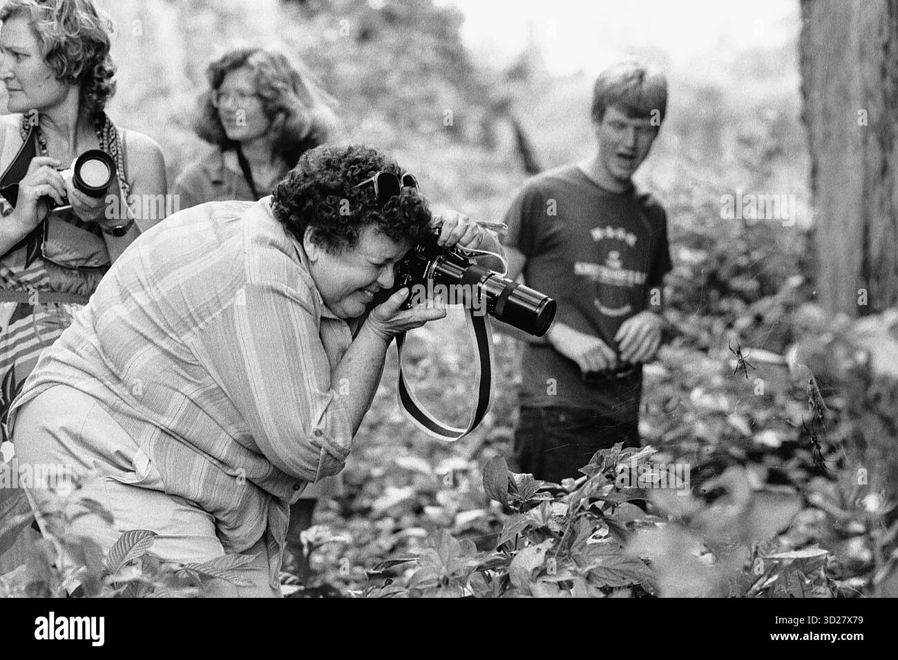 Safari Adventure: I turisti catturano momenti nei lussureggianti paesaggi della Tanzania. Un gruppo di viaggiatori esplora i diversi terreni della Tanzania, documentando diligentemente i loro incontri con la fauna selvatica nella vasta natura selvaggia del paese. L'immagine mostra un turista incentrato sulla fotografia, circondato da altri esploratori, mettendo in evidenza la natura immersiva di un'esperienza safari. Foto Stock