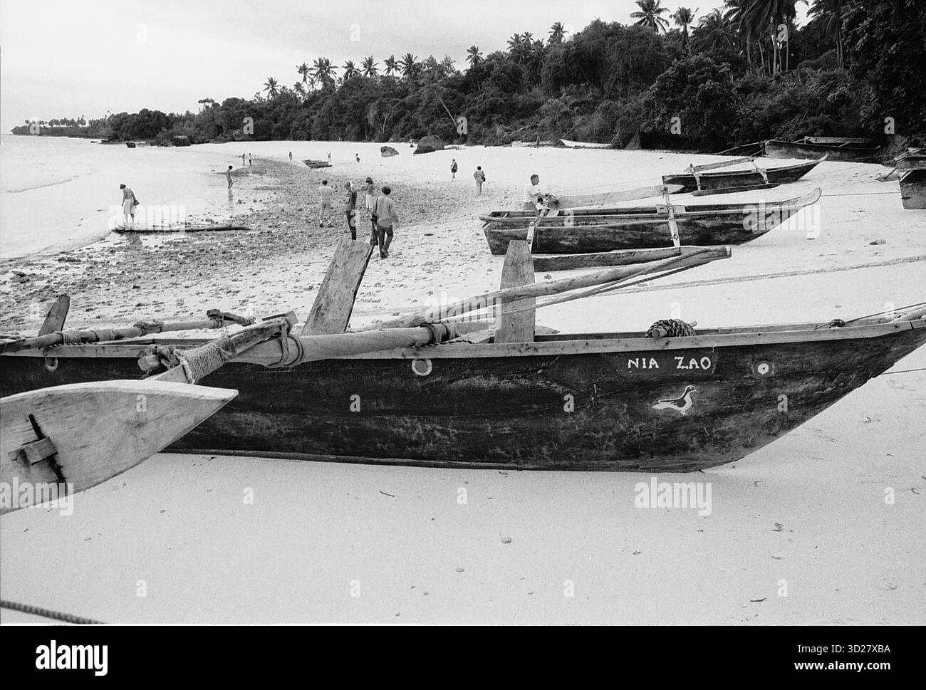 Il fascino costiero di Zanzibar: Dhow tradizionali sulle sabbie bianche. Questi dhow intemprati, un'eredità della ricca storia marittima dell'isola, riposano pacificamente sulle incontaminate sabbie bianche di Zanzibar. L'ondeggiamento ritmico dell'oceano e la silhouette delle palme creano una scena senza tempo, un ricordo delle antiche rotte commerciali dell'isola e della bellezza tranquilla. Questa iconica immagine cattura un momento di serenità su una delle isole più affascinanti dell'Africa. Foto Stock