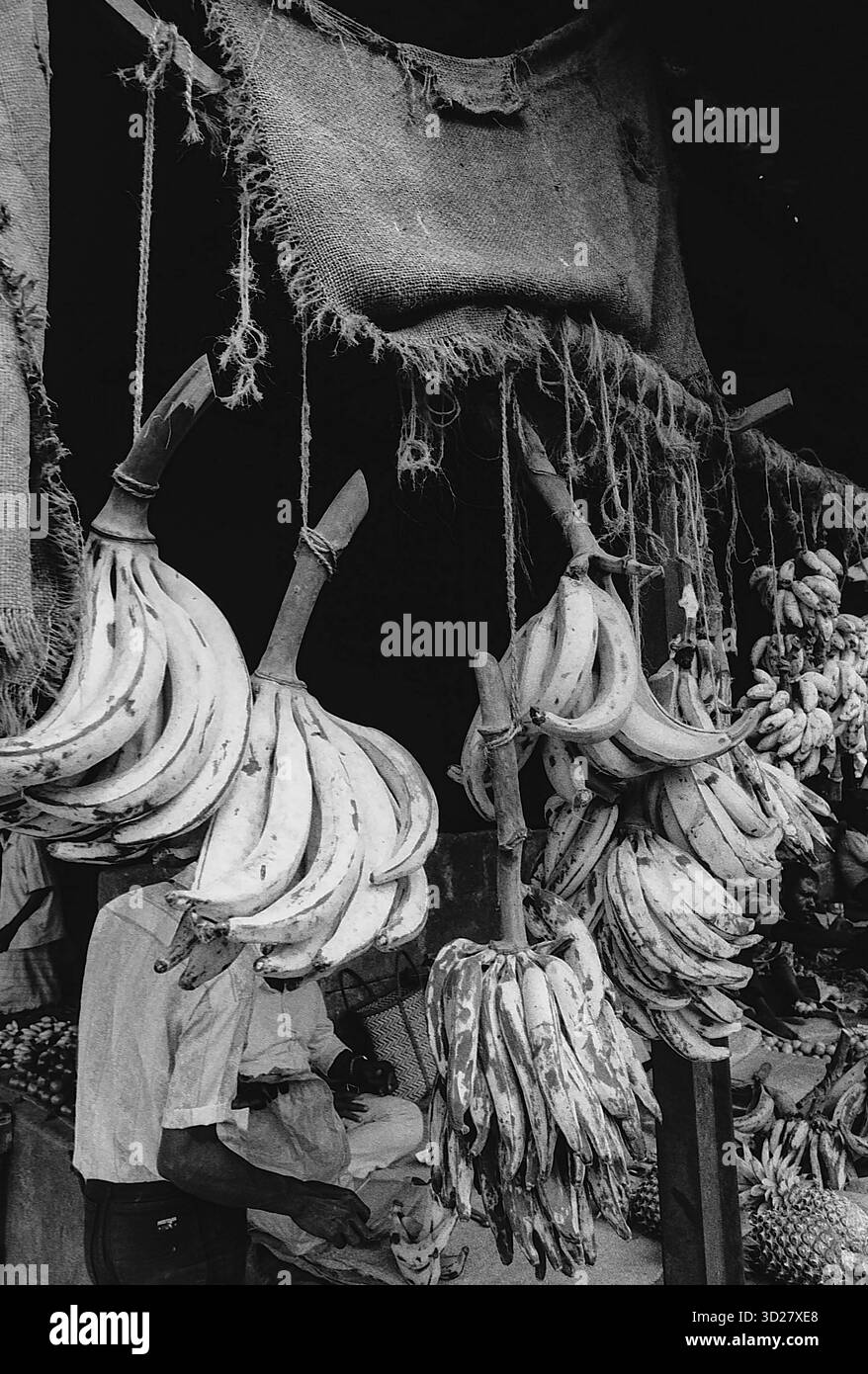 Mercato di Zanzibar: Esposizione di prodotti freschi Foto Stock