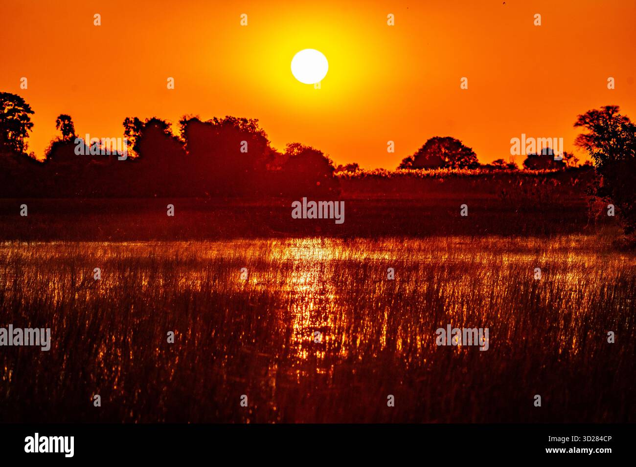 Tramonto sul Chobe in Botswana, Africa Foto Stock