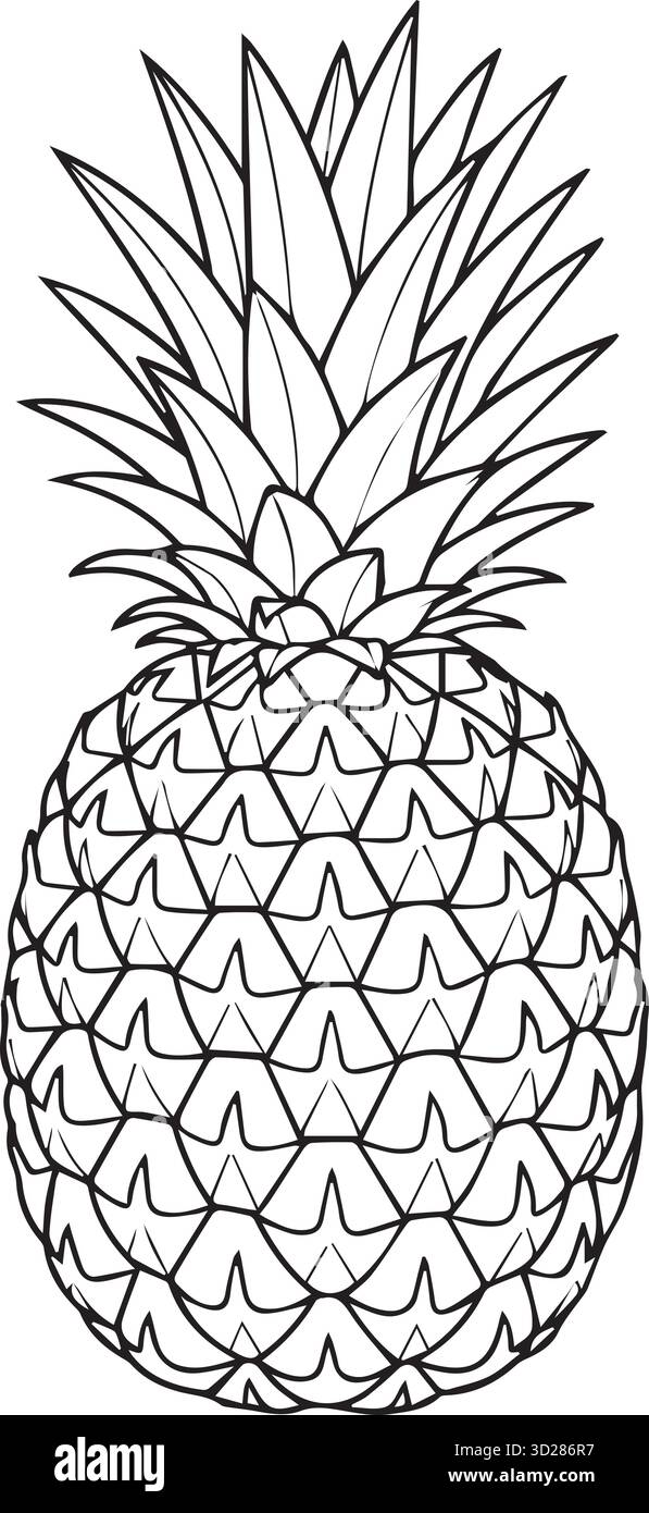 Pagina da colorare ananas in bianco e nero, Foglio da colorare frutta tropicale Illustrazione Vettoriale