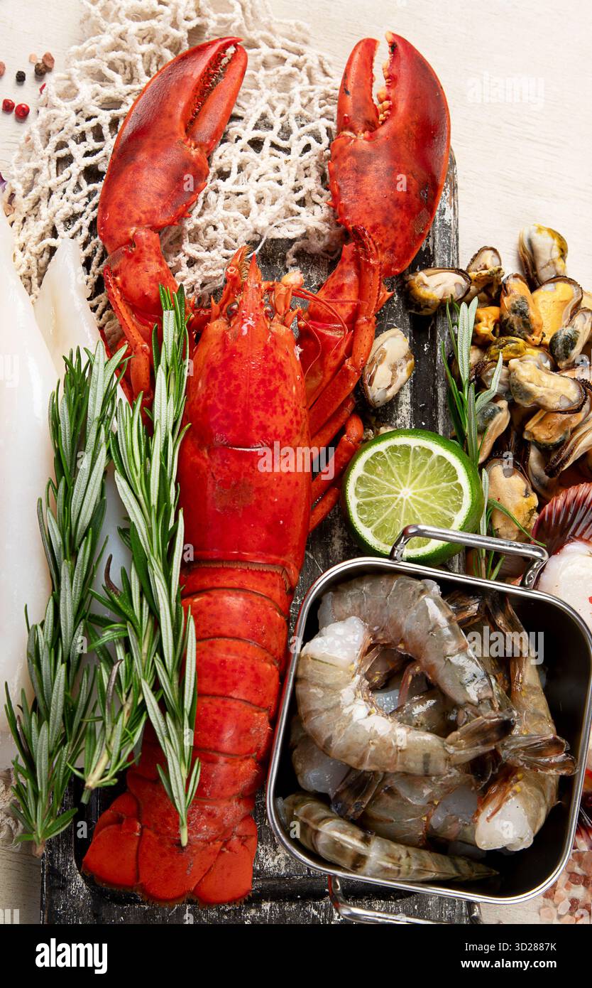 Varietà di pesce fresco ed erbe aromatiche. Pesce fresco e specialità di pesce. Vista dall'alto. Foto Stock