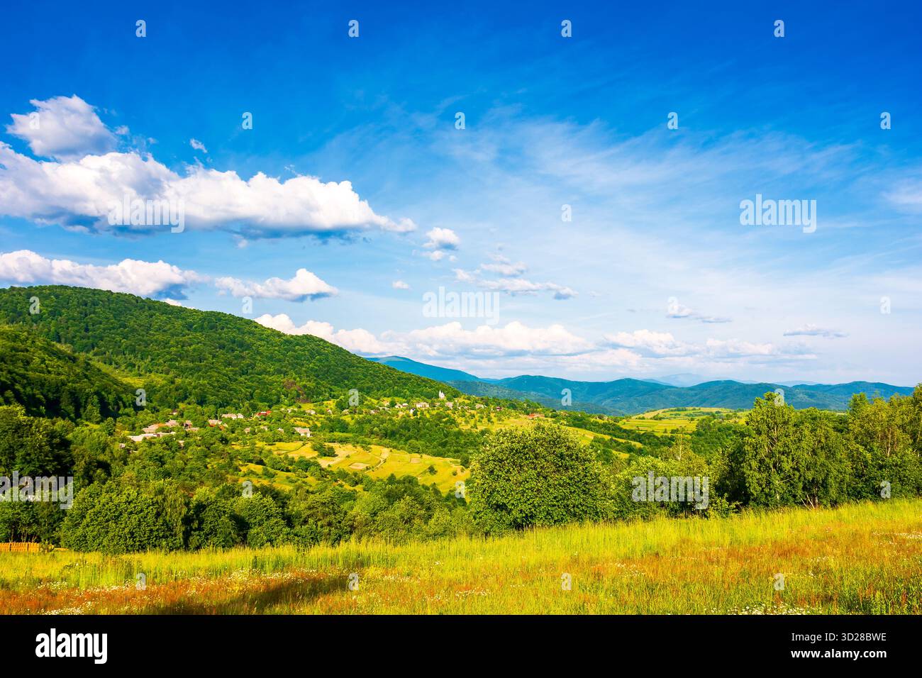 splendido paesaggio montano con verdi colline in estate. campo rurale in una giornata di sole. paesaggio di campagna ondulato dell'ucraina con cielo blu. passato erboso Foto Stock
