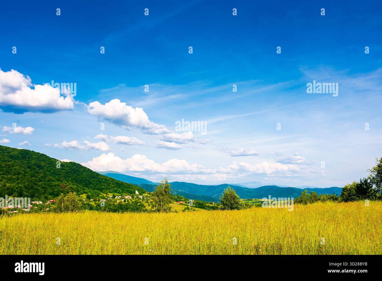 splendido paesaggio montano con verdi colline in estate. campo rurale in una giornata di sole. paesaggio di campagna ondulato dell'ucraina con cielo blu. passato erboso Foto Stock