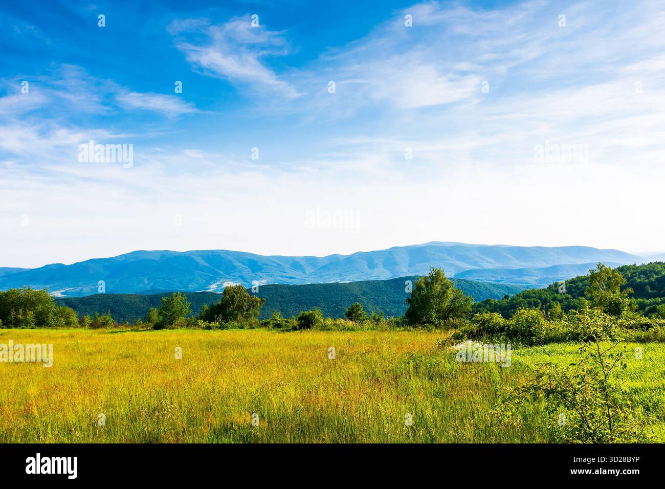 splendido paesaggio montano con verdi colline in estate. campo rurale in una giornata di sole. paesaggio di campagna ondulato dell'ucraina con cielo blu. passato erboso Foto Stock