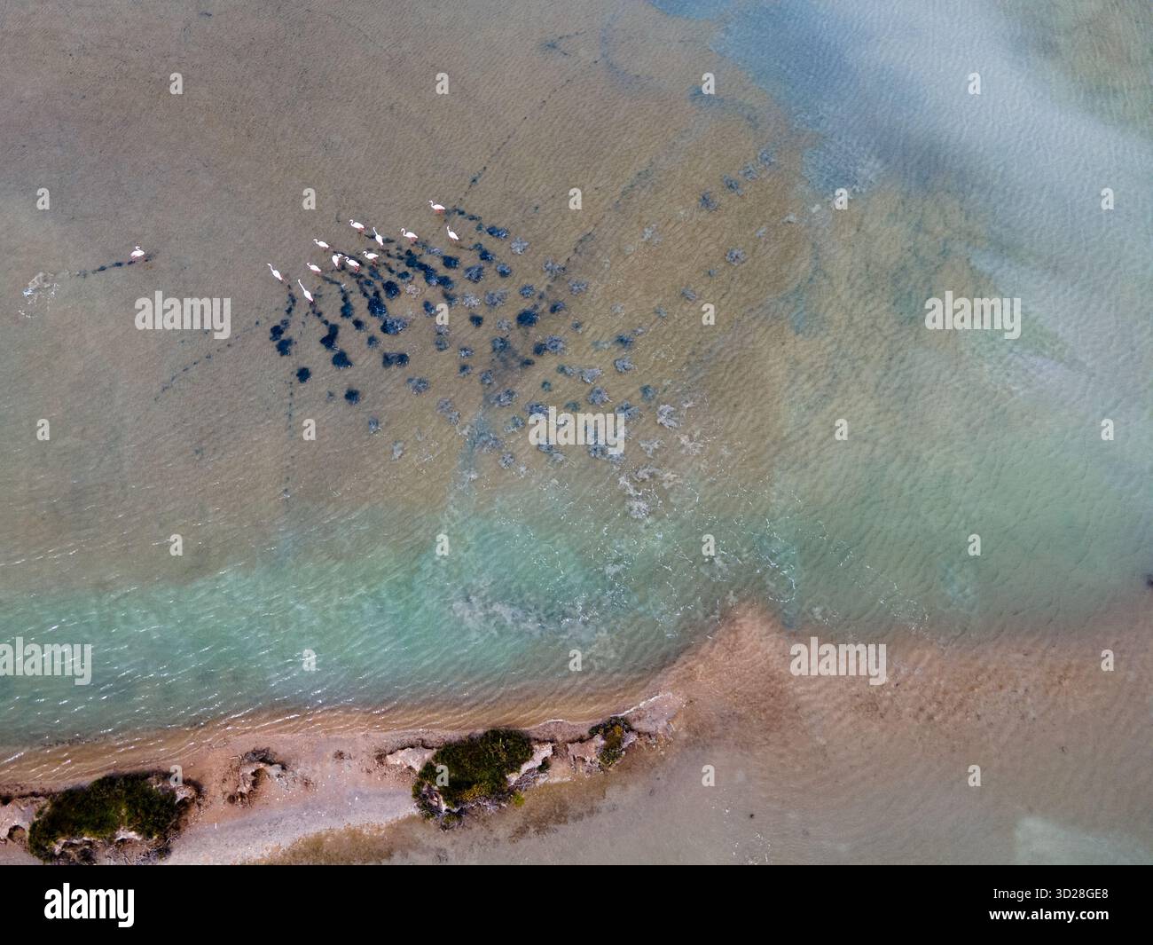 Vista aerea delle acque turchesi poco profonde che incontrano le coste sabbiose, con macchie scure che indicano profondità nascoste e vita marina, El Puerto de Santa María, AN Foto Stock