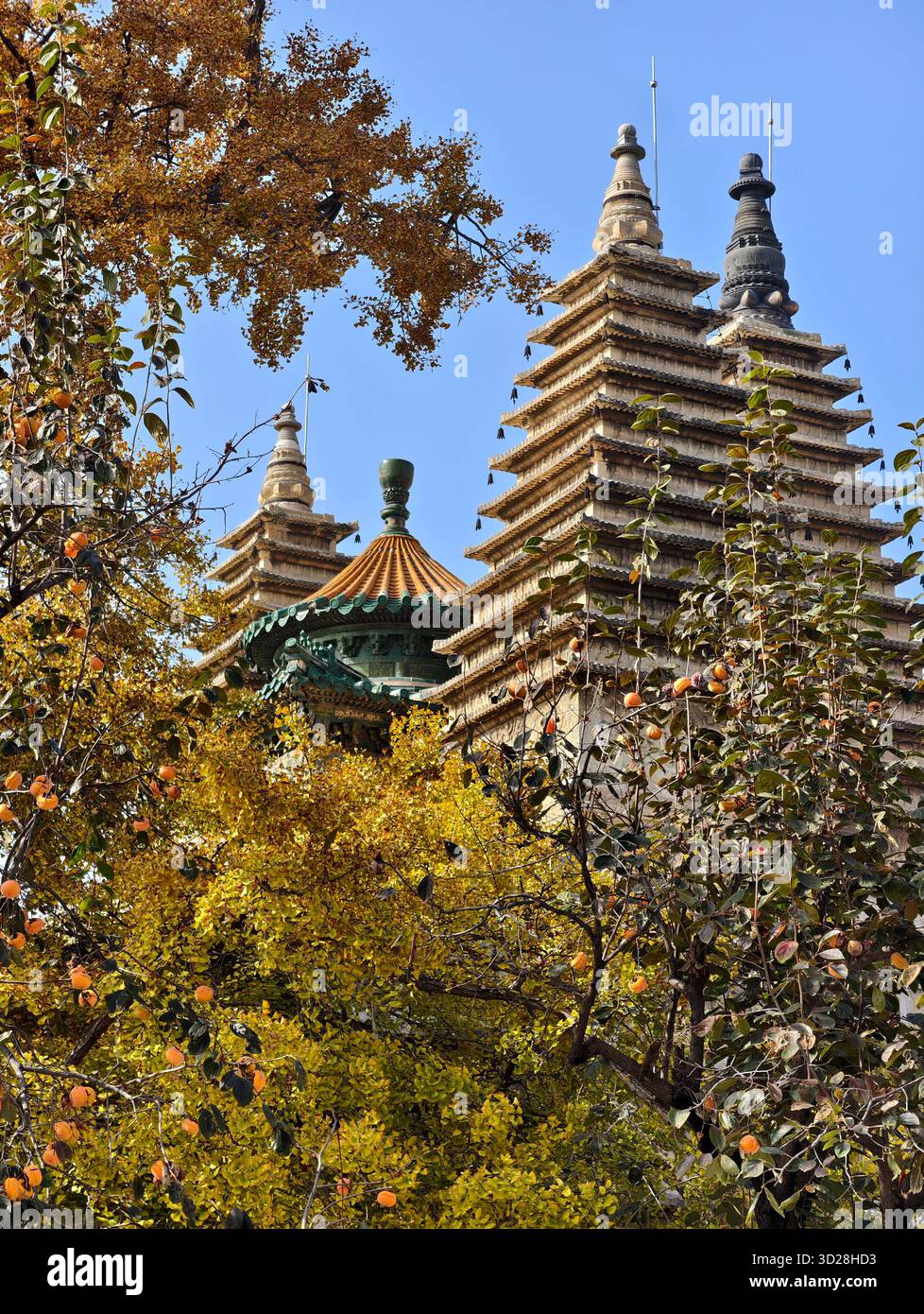 Pechino, Cina. 31 ottobre 2025. Questa foto scattata da un telefono cellulare il 31 ottobre 2025 mostra una vista del Tempio di Wuta (cinque pagoda) a Pechino, capitale della Cina. Crediti: Xu Jinquan/Xinhua/Alamy Live News Foto Stock