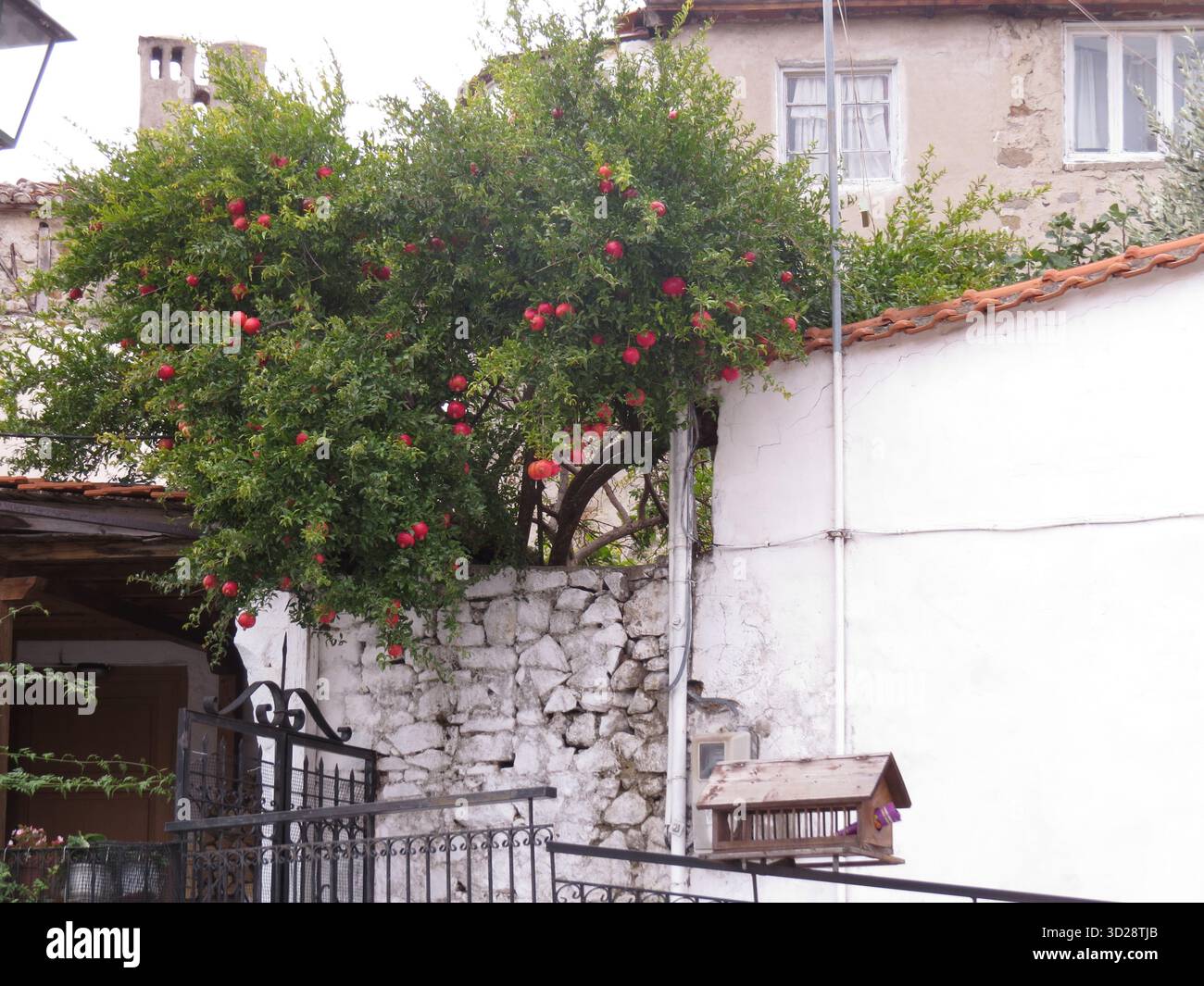 Cortile con melagrana nella città vecchia di Xanthi, Grecia orientale. Architettura greca tradizionale e atmosfera tranquilla Foto Stock