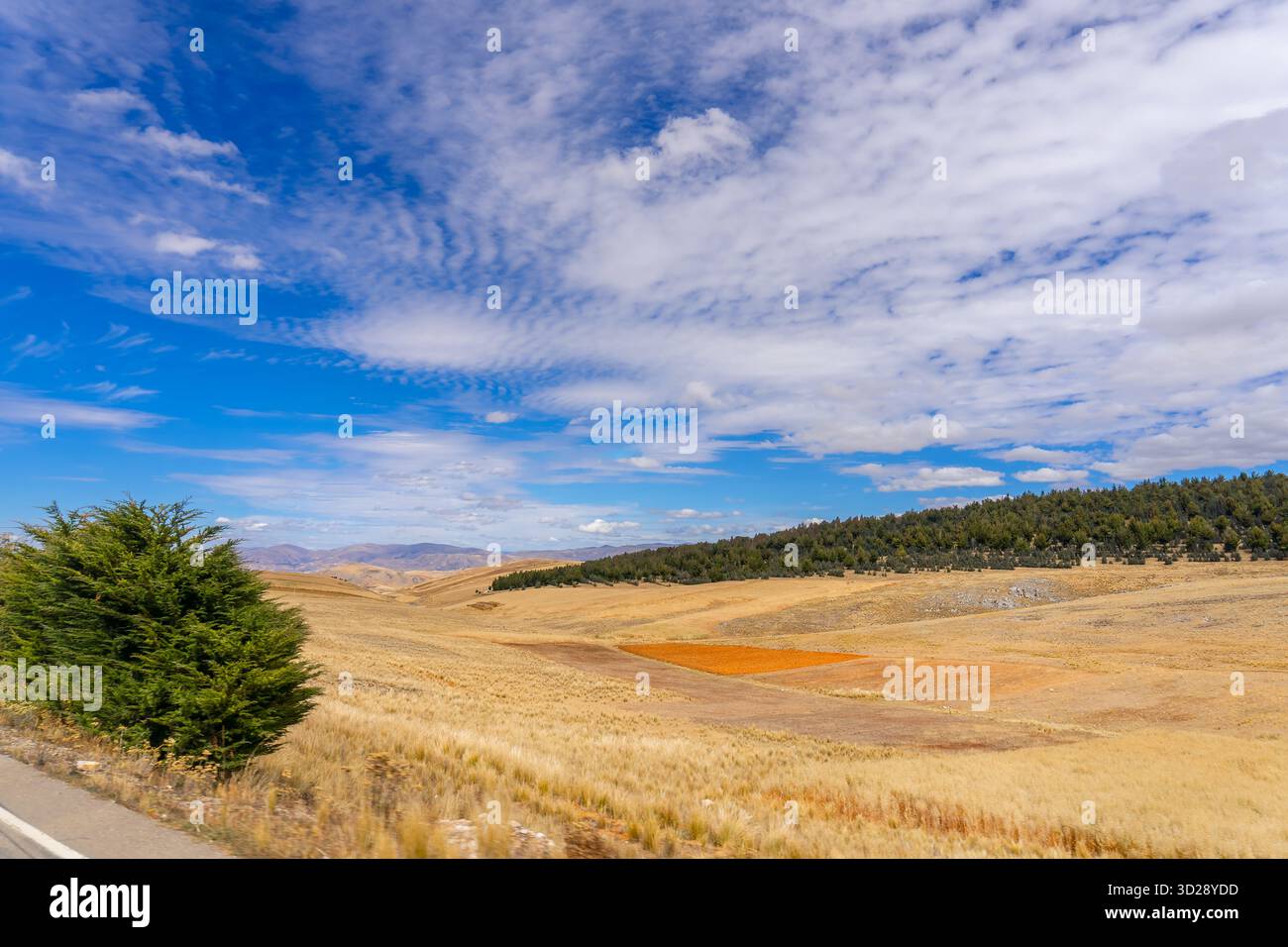 giallo, verde e blu sono i colori che predominano in autunno Foto Stock