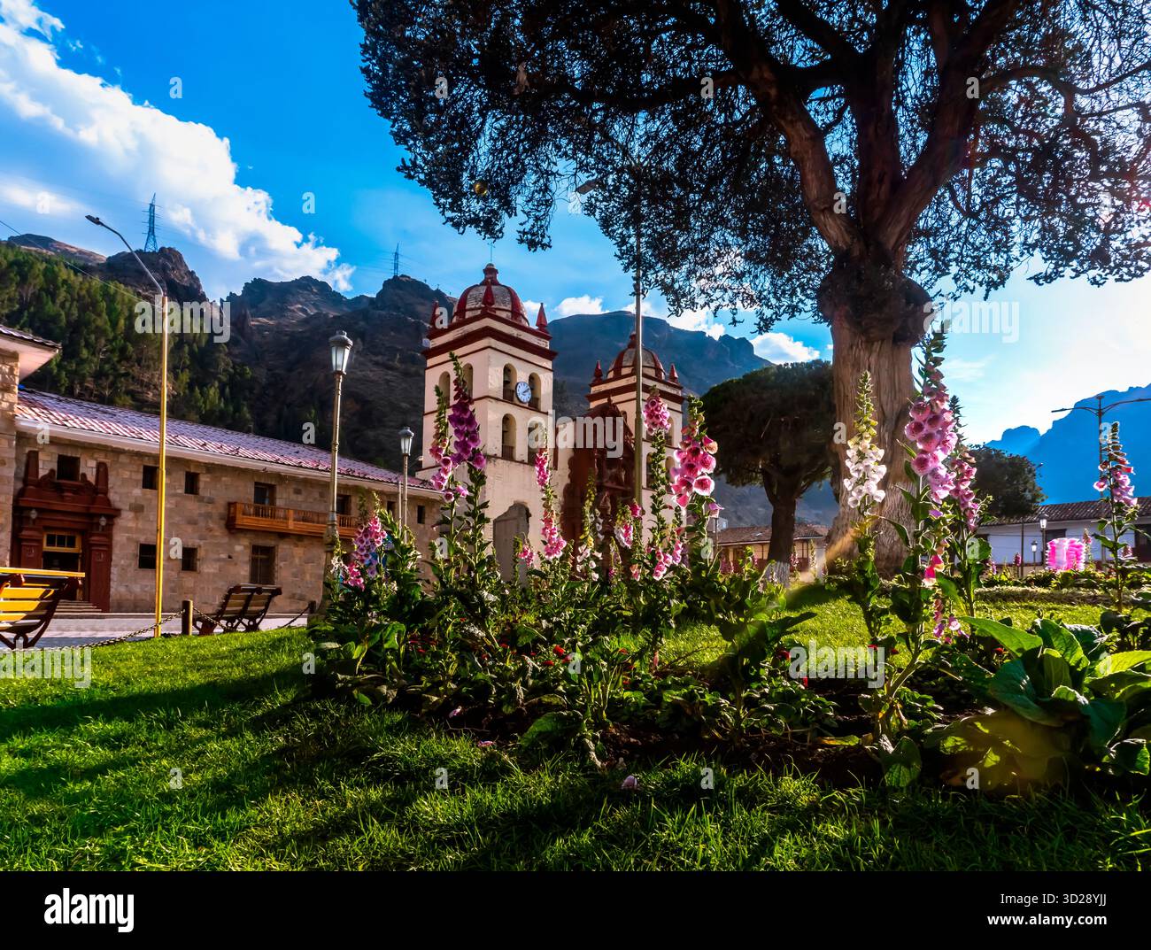 alberi frondosi che crescono nella piazza principale della città di huancavelic Foto Stock