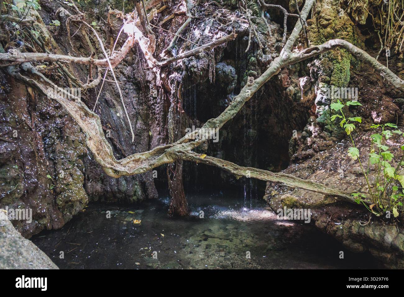 Grotta naturale delle terme di Afrodite Botanical Garden nella foresta nazionale di Akamas sulla penisola di Akamas, Paphos District a Cipro Foto Stock