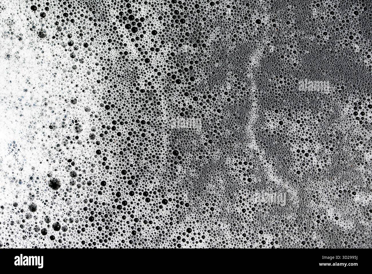 Consistenza di bolle bianche in acqua nera. Splendido motivo a trama di sfondo bianco e nero. Foto Stock