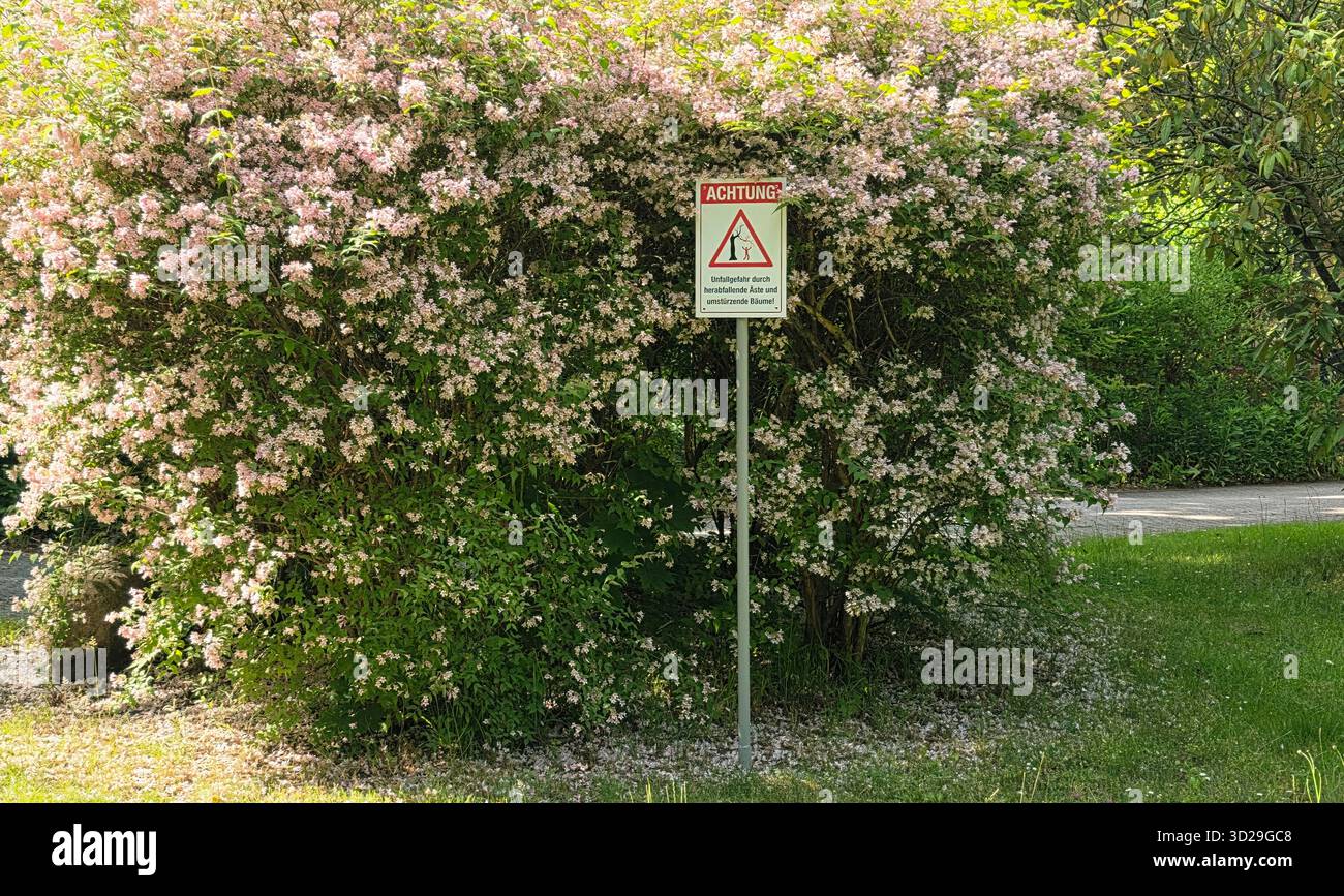 Belin, Germania - 30 maggio 2025: Cartello segnaletico immerso tra fiori in fiore in un vivace parco verde. Ospedale - Immagine stock catturata con smartphone