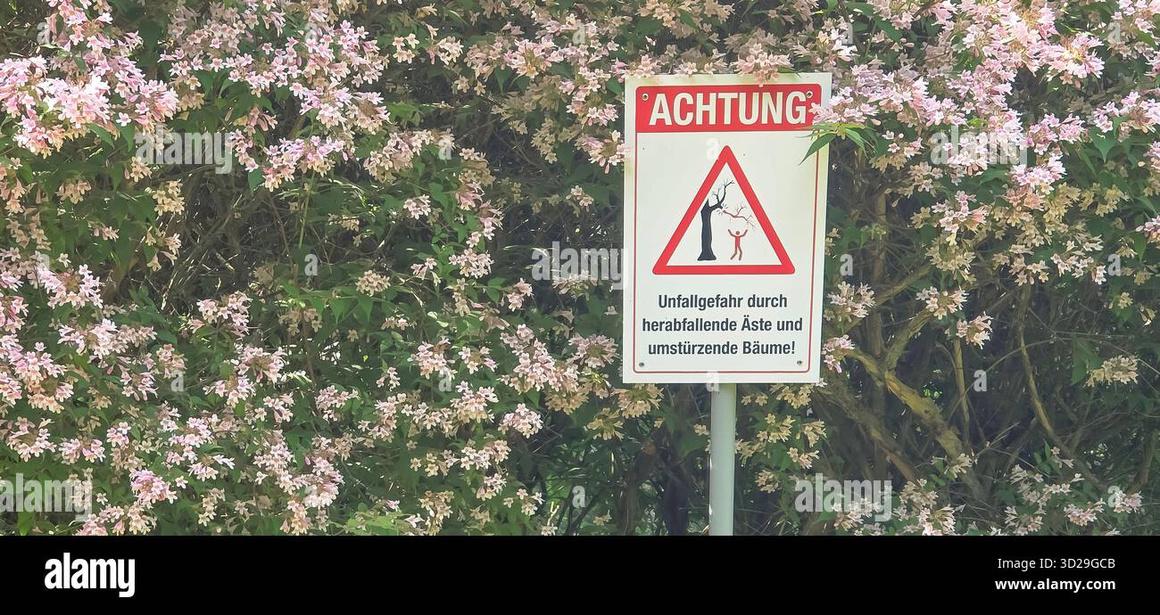 Belin, Germania - 30 maggio 2025: Un cartello segnaletico si trova tra i fiori in fiore, per avvisare i potenziali pericoli nelle vicinanze. Ospedale - Immagine stock catturata con smartphone