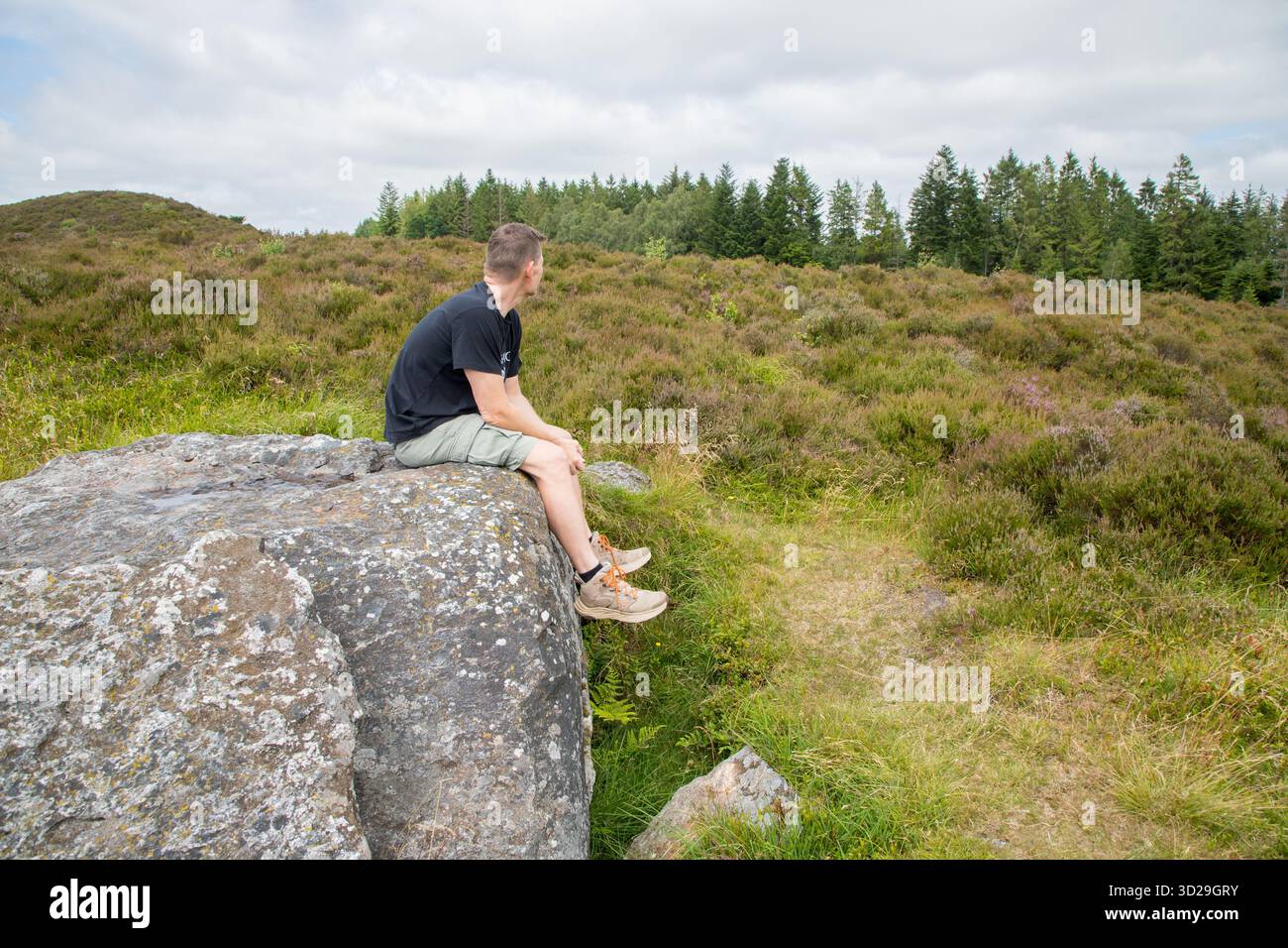 Uomo seduto su una grande roccia in una lussureggiante brughiera che si affaccia sul paesaggio, l'uomo e la natura, la terapia della natura e la meditazione in una situazione tranquilla Foto Stock