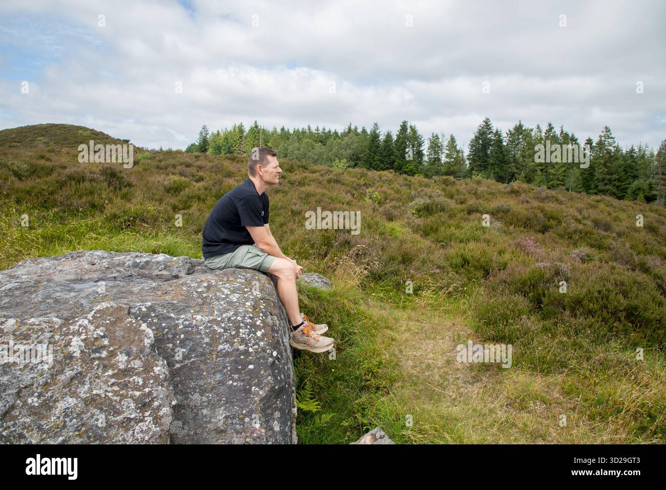 Uomo seduto su una grande roccia in una lussureggiante brughiera che si affaccia sul paesaggio, l'uomo e la natura, la terapia della natura e la meditazione in una situazione tranquilla Foto Stock