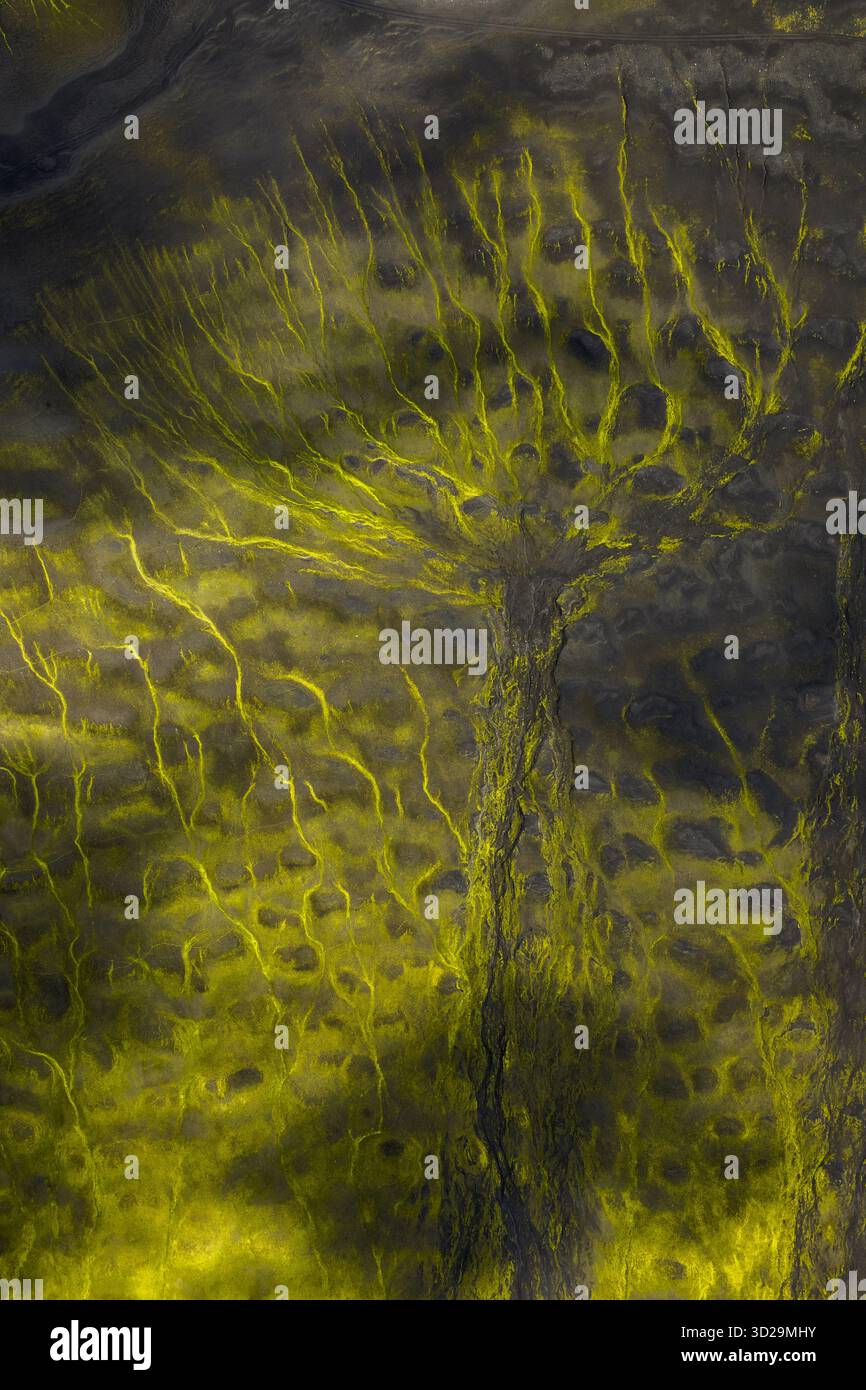 Veduta aerea dei rivuletti dorati che incidono attraverso il paesaggio scuro e terrestre, come vene di luce nelle Highlands, Sveitarfélagið Hornafjörður, Islanda Foto Stock
