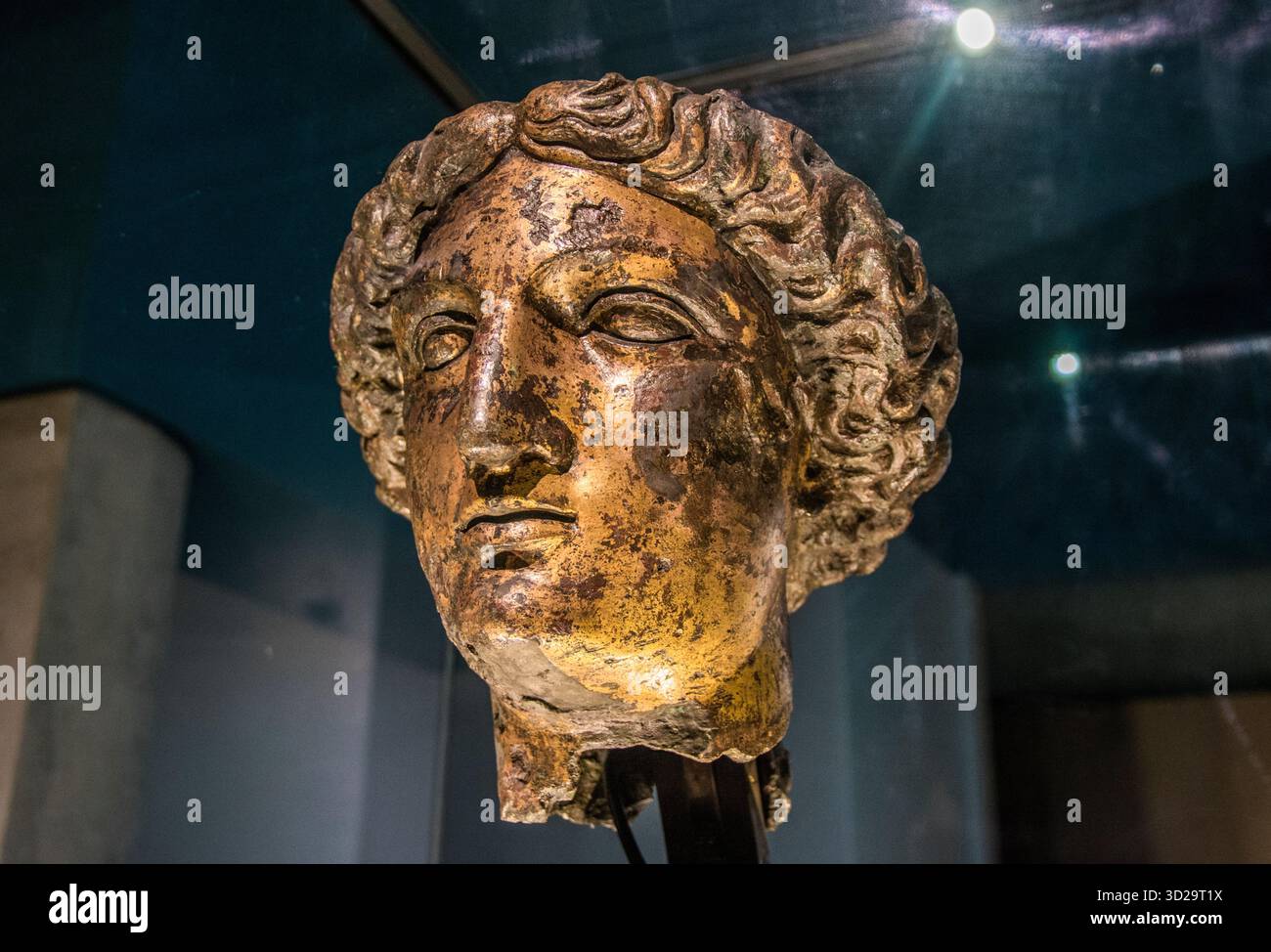 Il capo di Sulis Minerva Foto Stock