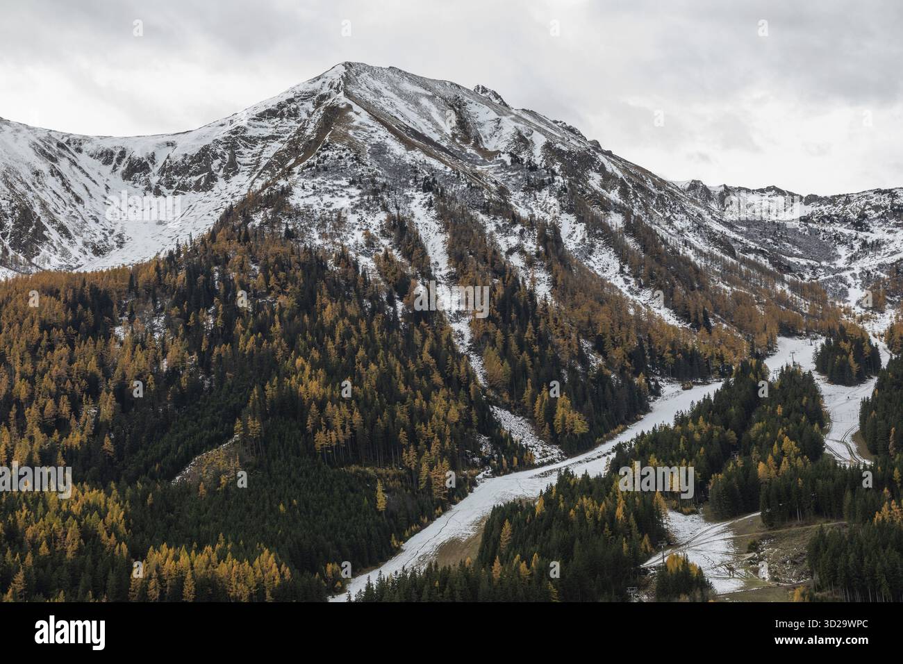 Atmosfera autunnale, neve in cima, foglie autunnali, Eisenerzer Reichenstein, Praebichl, Stiria, Austria Foto Stock