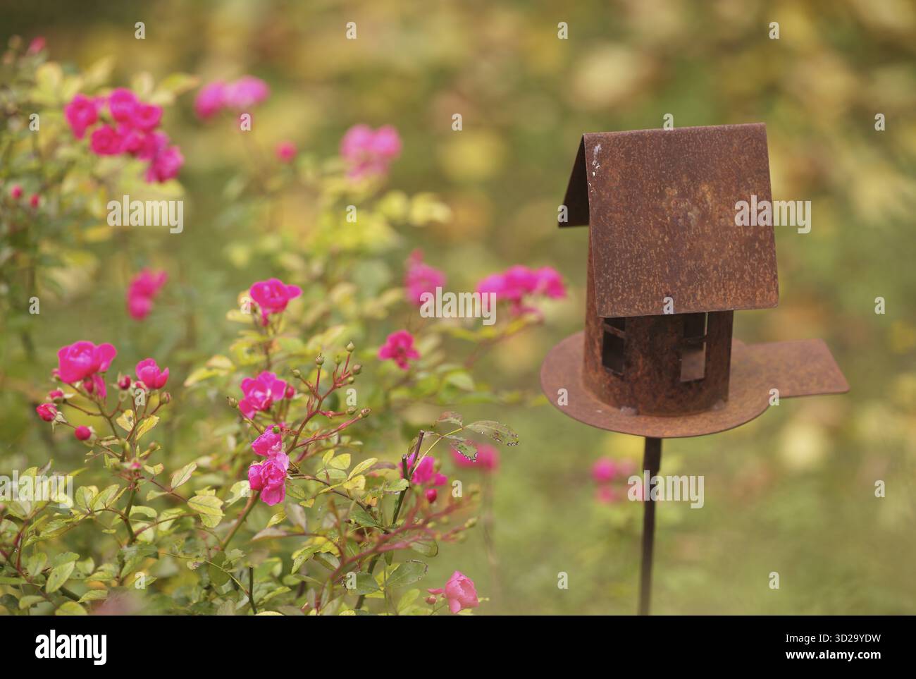 Casetta per uccelli, casetta per uccelli, arrugginita, arrugginita, nel giardino, Stoccarda, Baden-Wuerttemberg, Germania Foto Stock