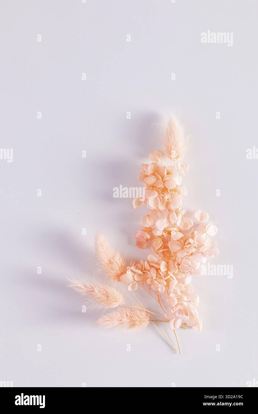 Disposizione floreale di fiori di pesco secchi su sfondo bianco con spazio per la copia. Vista verticale. Colore dell'anno 2024 Peach Fuzz Foto Stock