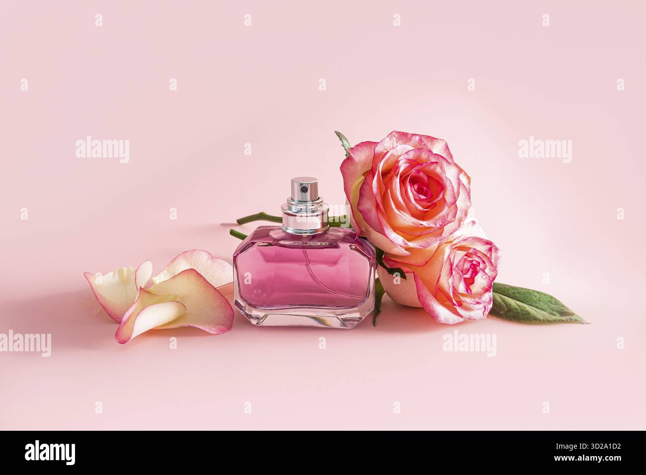 Bottiglia di cristallo con parfum femminile o spray su sfondo rosa con petali di rosa e fiori. Presentazione della fragranza. Disposizione del flacone vuoto Foto Stock