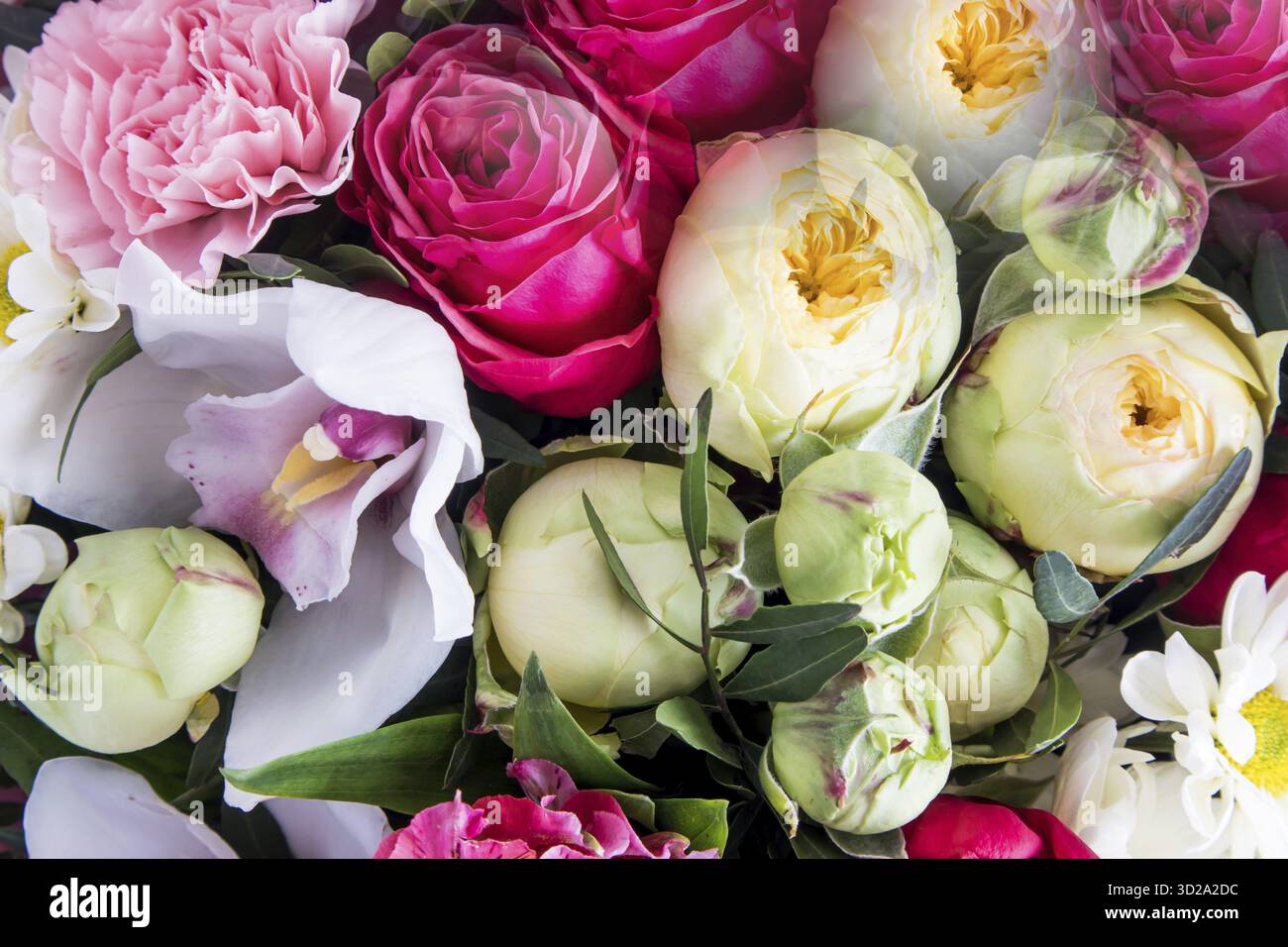 Sfondo floreale per le feste. primo piano di peonie gialle, garofani. cartolina, sfondo Foto Stock