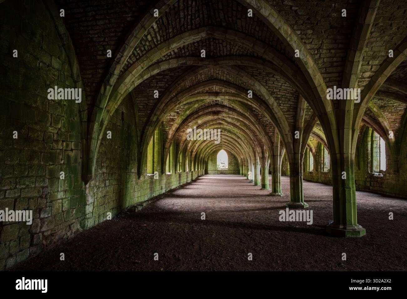 Il Cellarium dell'Abbazia di Fountains, uno straordinario esempio di muratura medievale e di ingegneria Foto Stock