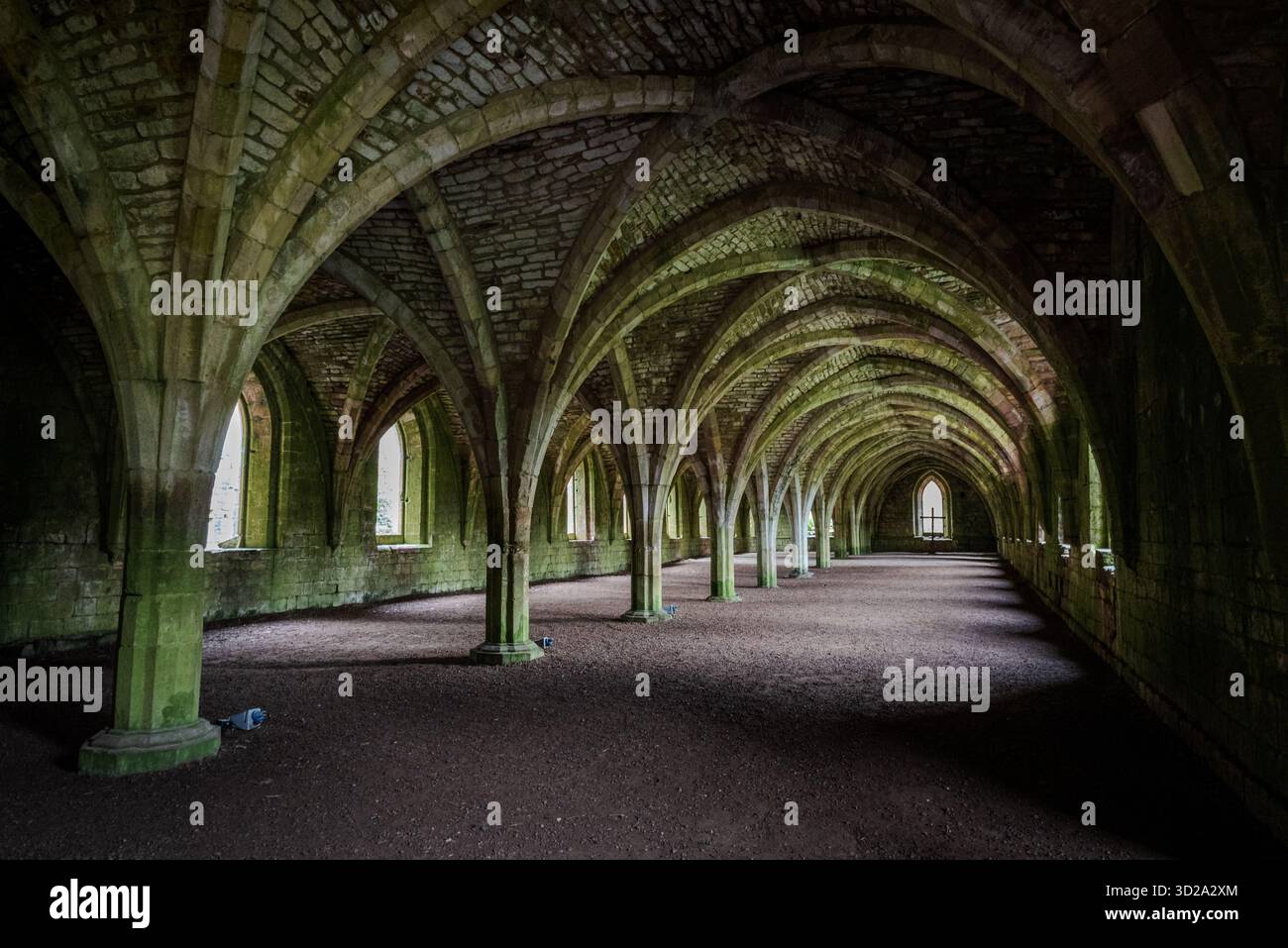 Il Cellarium dell'Abbazia di Fountains, uno straordinario esempio di muratura medievale e di ingegneria Foto Stock