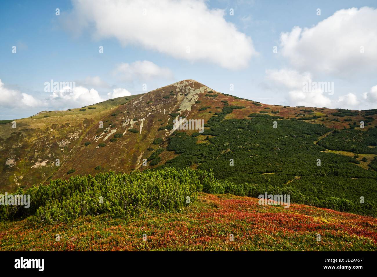 Maly Krivan dalla collina di Meskalka sulle montagne di Mala Fatra in Slovacchia durante la splendida giornata di settembre Foto Stock