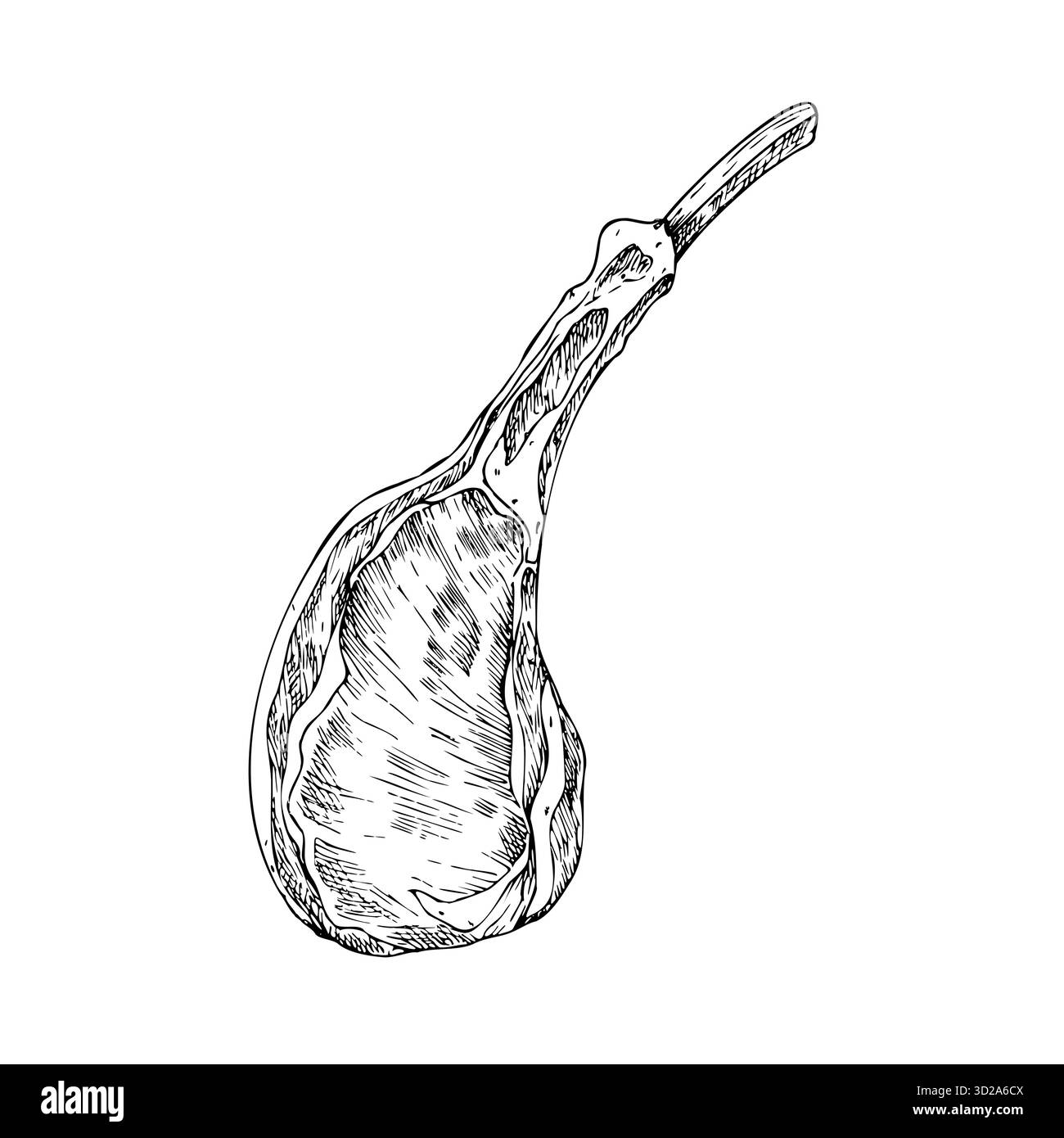 Carne vettoriale sulle costolette. Illustrazione grafica a inchiostro di maiale o manzo, isolata sullo sfondo. Schizzo della linea disegnata a mano. Per designer, stampe, logo, icona Illustrazione Vettoriale