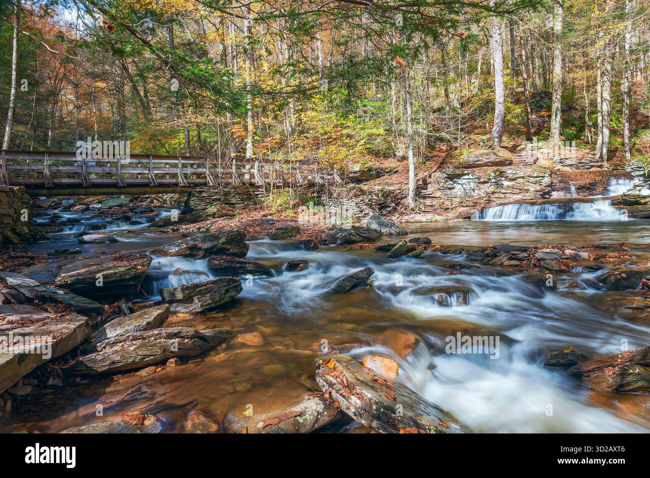 Le acque si incontrano. Falls Trail al Ricketts Glen State Park. Pennsylvania. STATI UNITI Foto Stock
