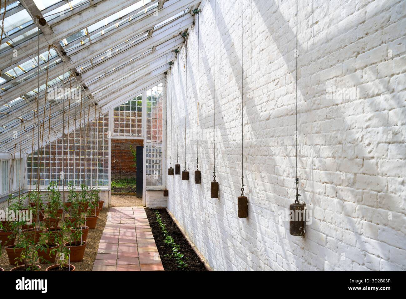 L'azienda vinicola di Audley End's House, orto murato, Saffron Walden, Essex, Regno Unito Foto Stock