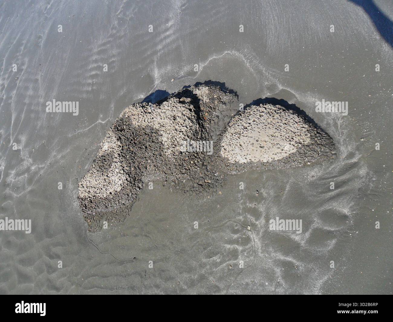 Pietre di corallo sulla spiaggia di mare a Saint Martin's Island - Tesoro naturale dell'unico paradiso corallino del Bangladesh Foto Stock
