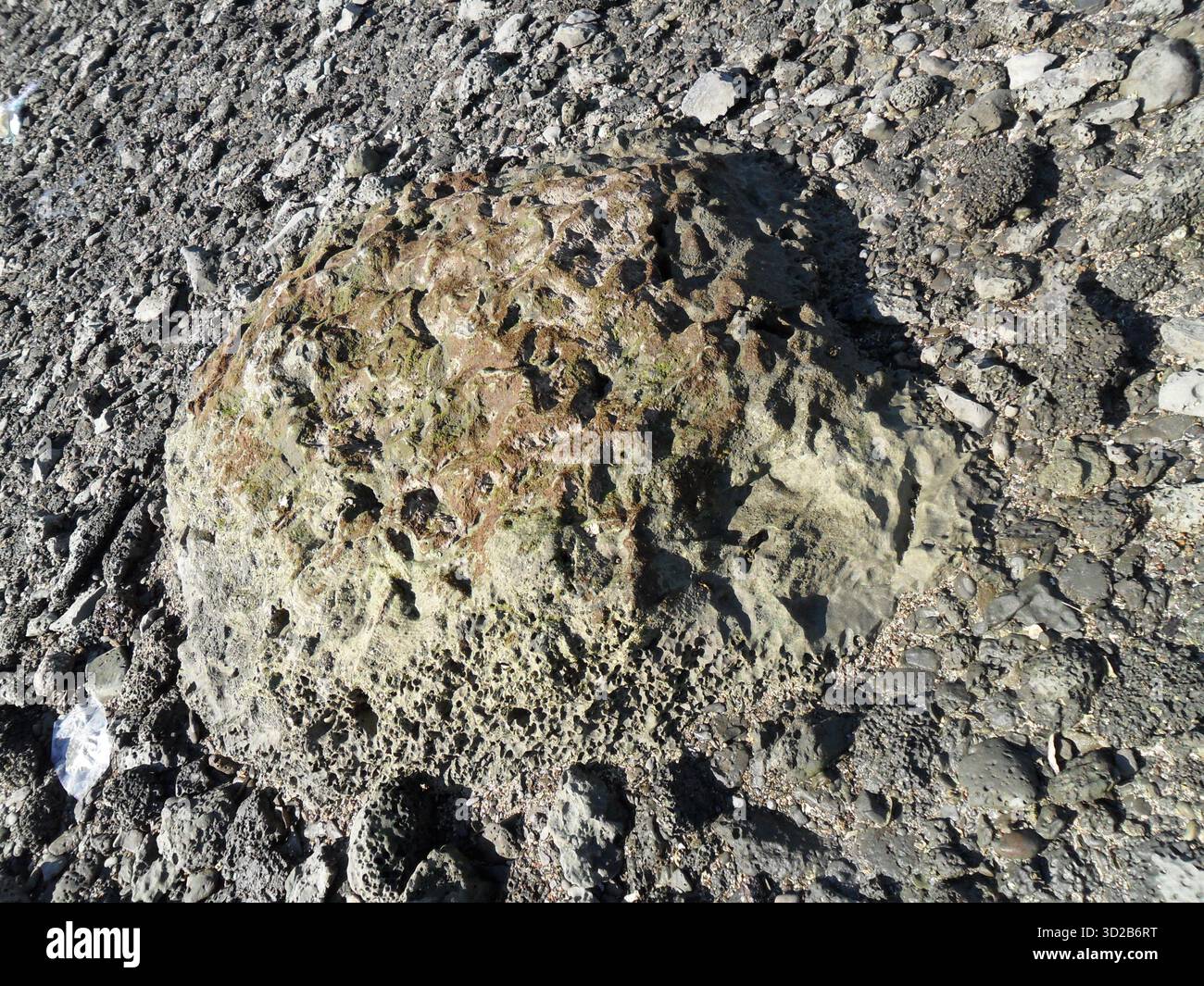 Pietre di corallo sulla spiaggia di mare a Saint Martin's Island - Tesoro naturale dell'unico paradiso corallino del Bangladesh Foto Stock