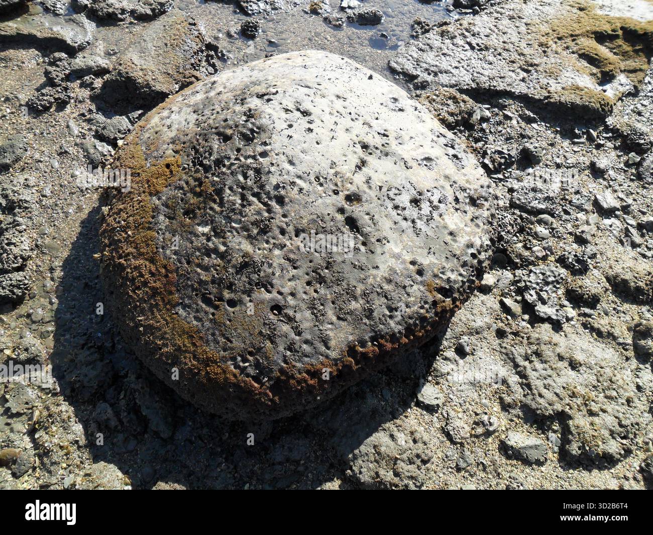 Pietre di corallo sulla spiaggia di mare a Saint Martin's Island - Tesoro naturale dell'unico paradiso corallino del Bangladesh Foto Stock