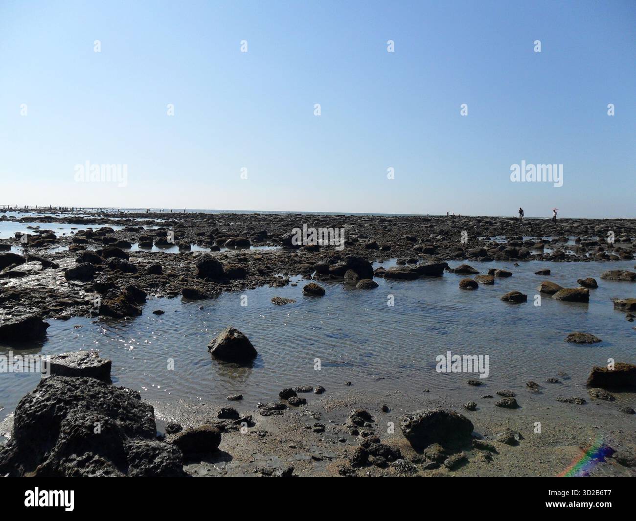 Pietre di corallo sulla spiaggia di mare a Saint Martin's Island - Tesoro naturale dell'unico paradiso corallino del Bangladesh Foto Stock