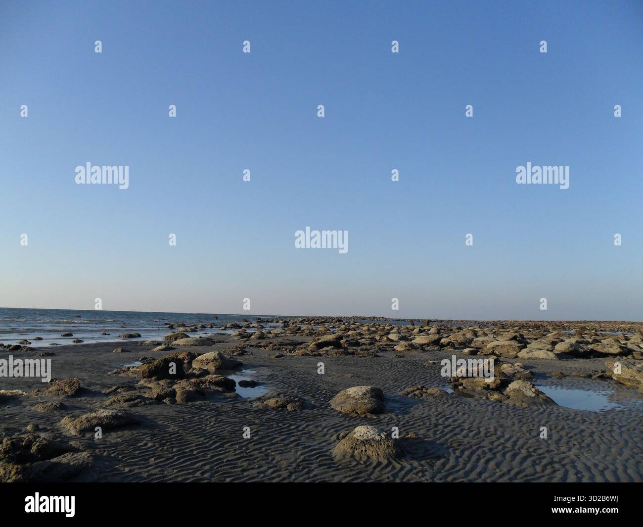 Pietre di corallo sulla spiaggia di mare a Saint Martin's Island - Tesoro naturale dell'unico paradiso corallino del Bangladesh Foto Stock