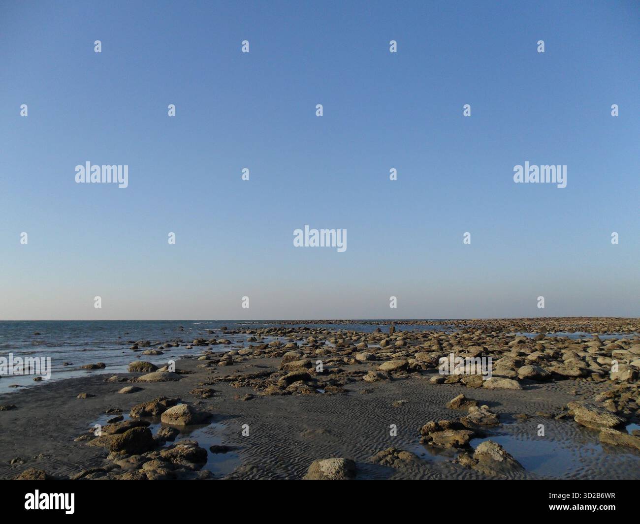 Pietre di corallo sulla spiaggia di mare a Saint Martin's Island - Tesoro naturale dell'unico paradiso corallino del Bangladesh Foto Stock