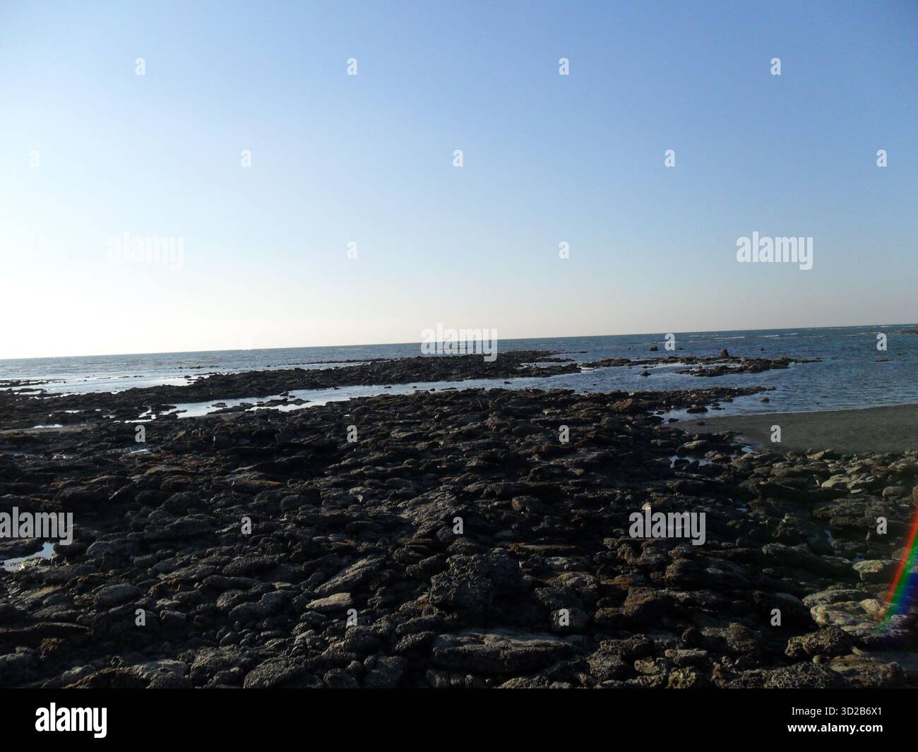 Pietre di corallo sulla spiaggia di mare a Saint Martin's Island - Tesoro naturale dell'unico paradiso corallino del Bangladesh Foto Stock