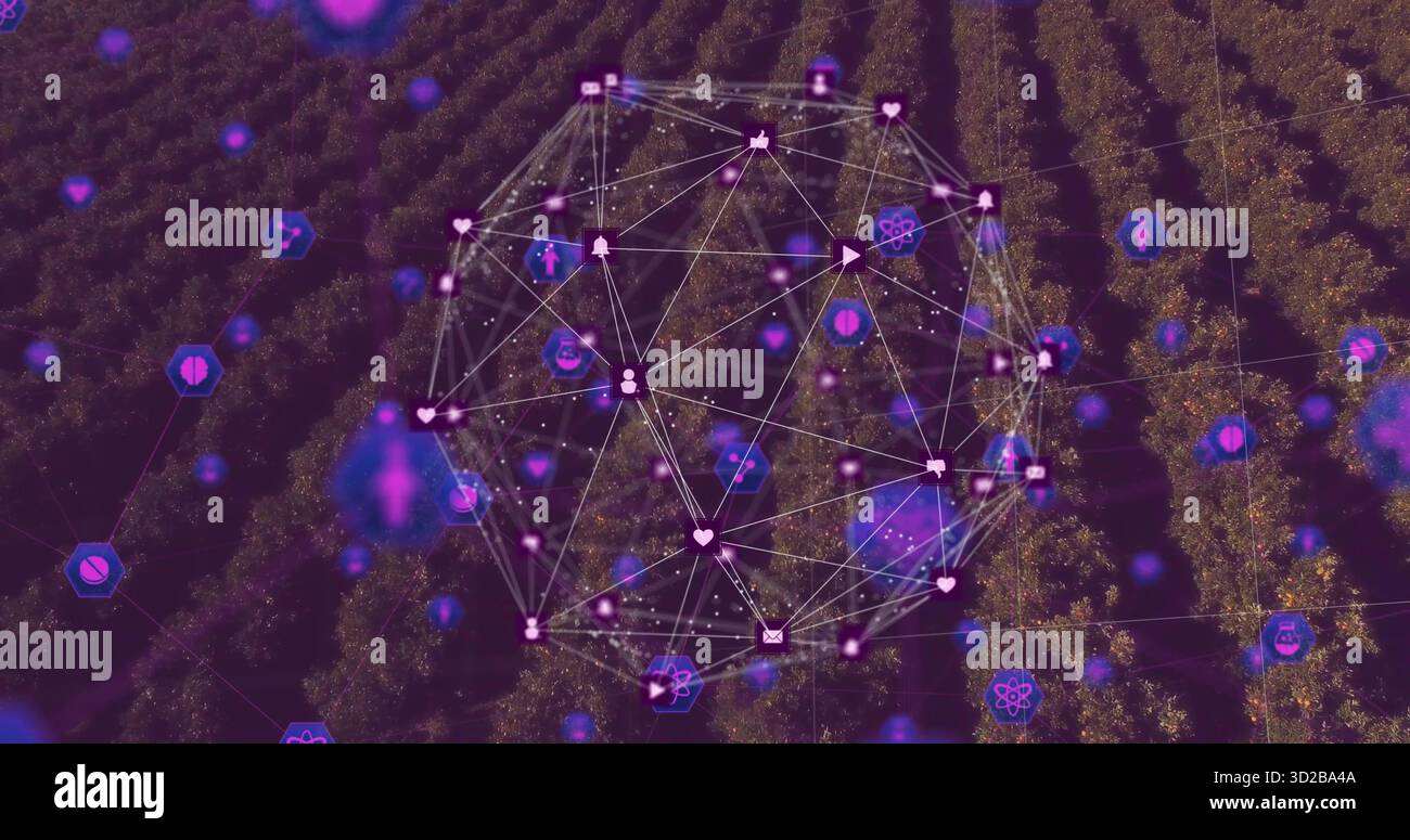 La sfera della rete digitale che si libra sopra il frutteto, con icone IoT dei social media interconnessi Foto Stock