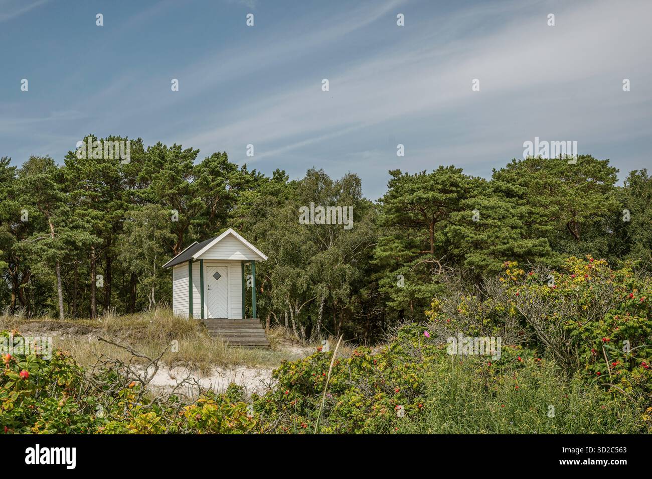 Rifugio appartato sulla spiaggia su una duna di sabbia, circondato dalla foresta, Holviken, Svezia, 7 luglio, 2024 Foto Stock