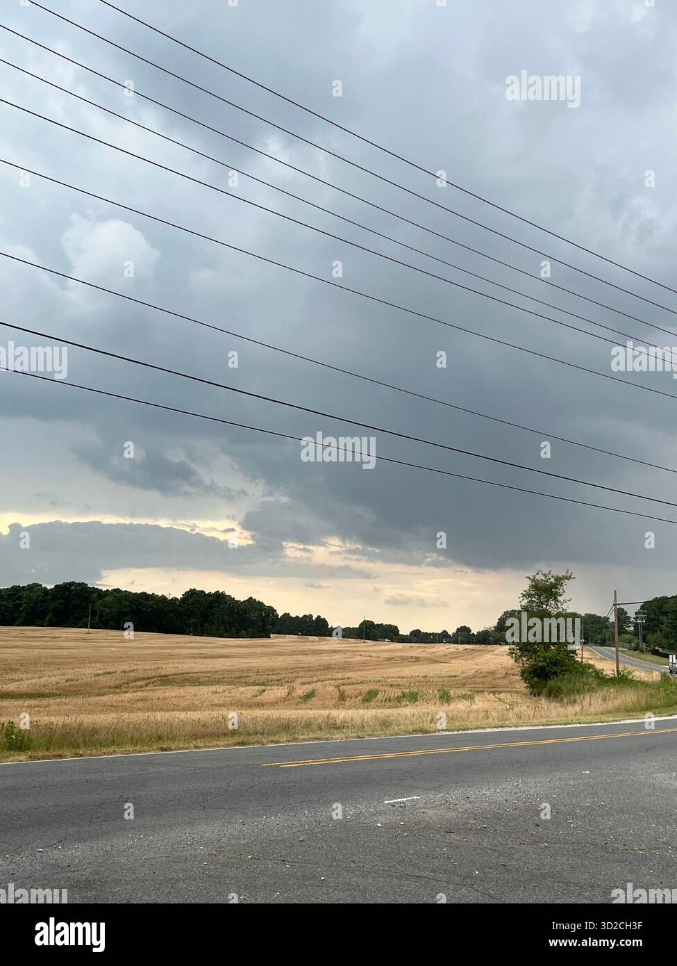 Paesaggio naturale panoramico vicino a Charlotte con alberi e cielo Foto Stock