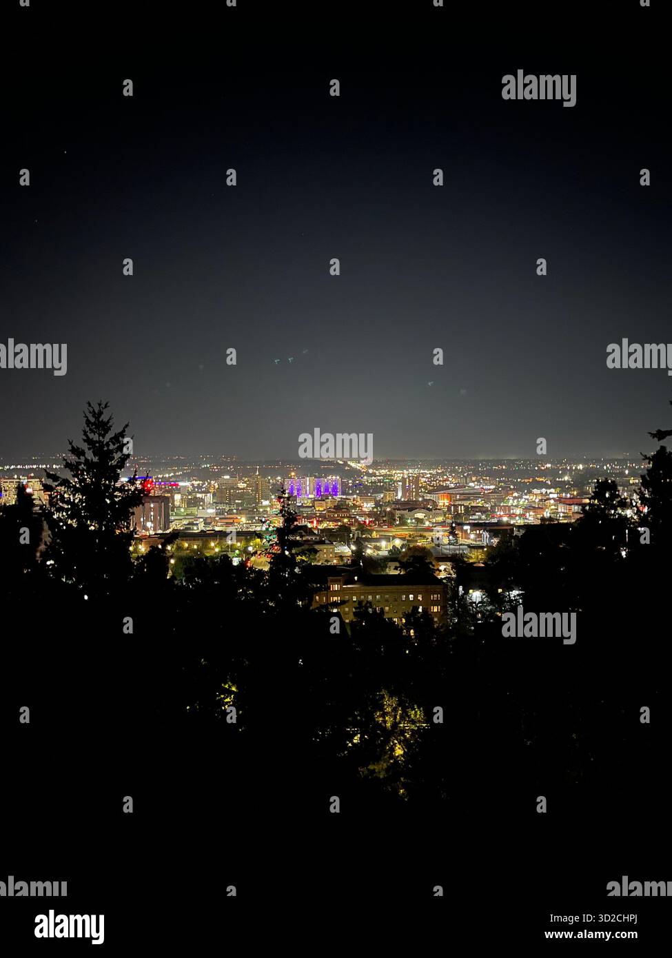La città notturna di Spokane con vista attraverso gli alberi in una foresta scura Foto Stock