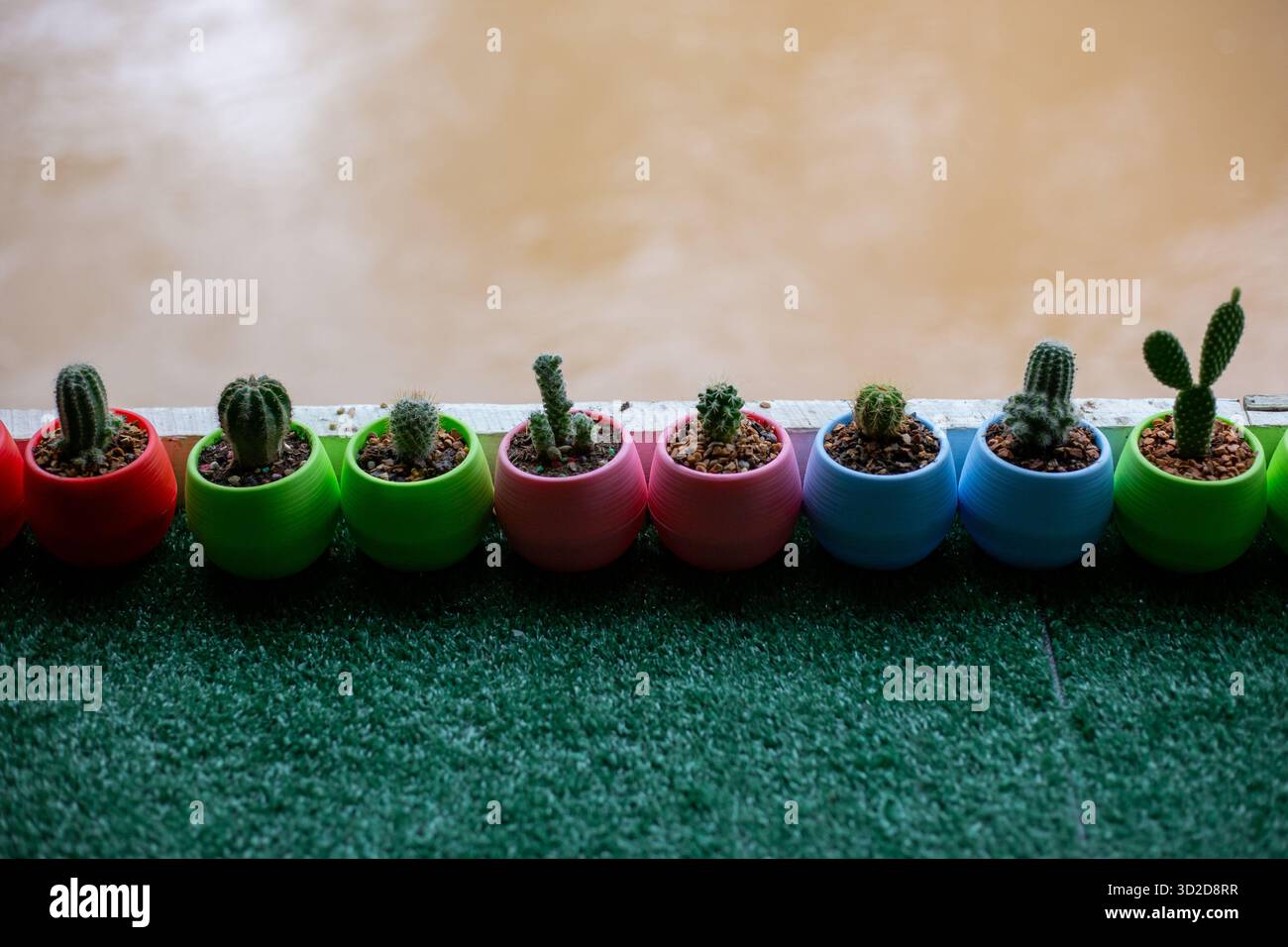 Piante di cactus miniaturizzate con messa a fuoco selettiva disposte in vasi di plastica in molti colori. Collocato su un tavolo ricoperto di erba artificiale verde. C'è un tex Foto Stock