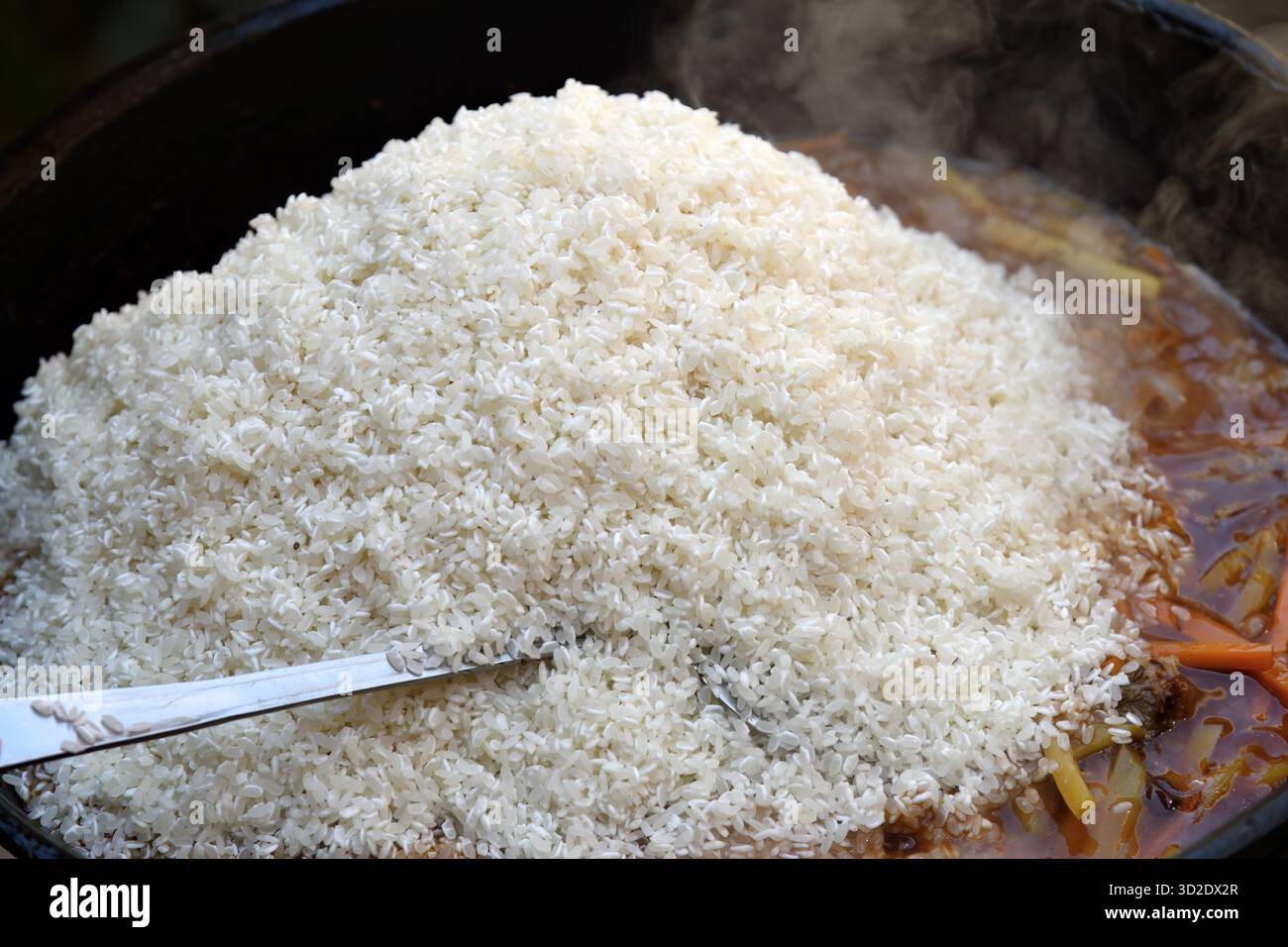 Il processo di cottura del pilaf uzbeko. Rise sta cucinando in olio in un calderone di ghisa. Cucina tradizionale uzbeka orientale, pilaf o plov con pezzi grandi Foto Stock