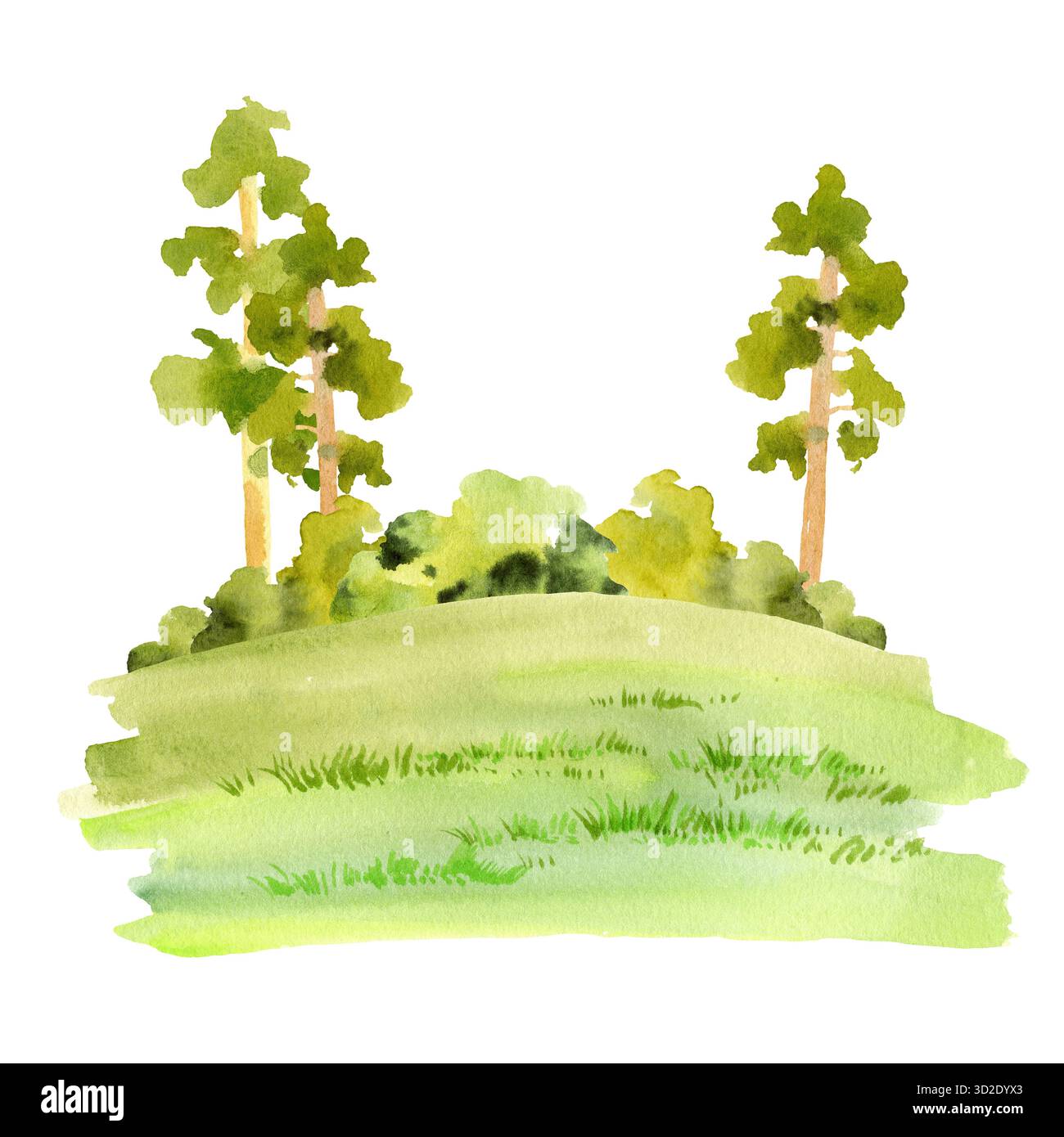 acquerello parte di foresta e parchi, pini verdi e arbusti su erba verde fresca testurizzata, illustrazione disegnata a mano di vari fogliami, per landsc Foto Stock