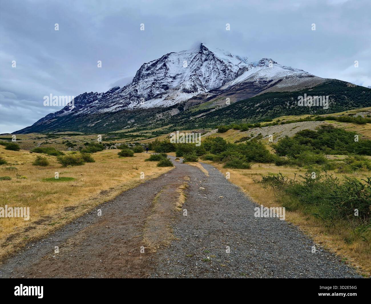 Paesaggio selvaggio con montagna innevata a Torres del Paine, Cile. Foto Stock